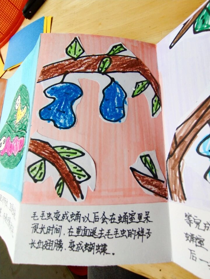 diy手工制作绘本 小人书 《蝴蝶🦋》精美佳作  值得记录