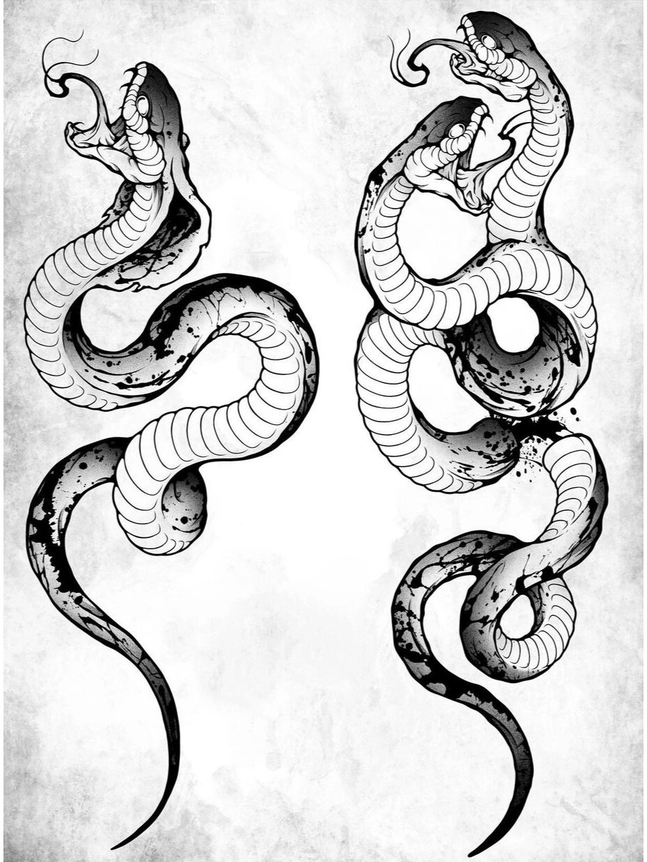 纹身手稿分享|眼镜蛇 双头蛇