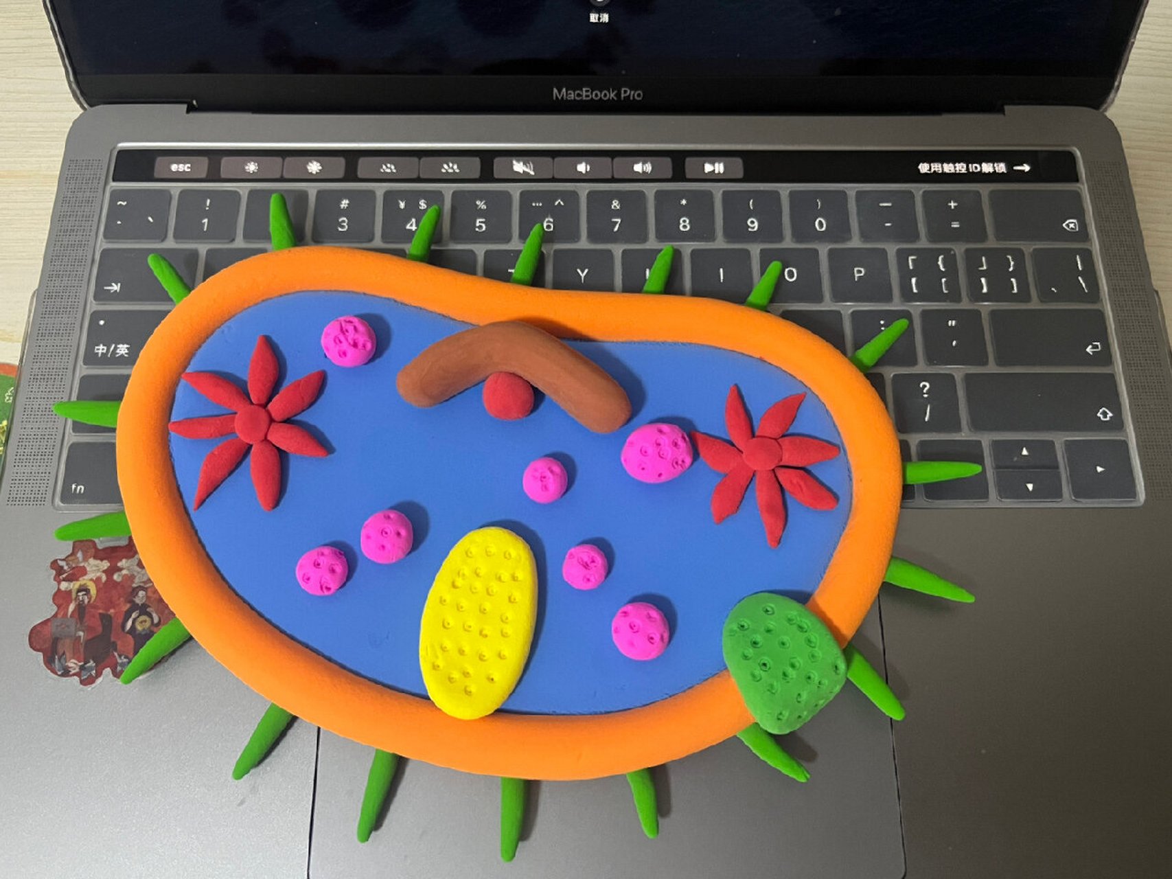 草履虫模型成品来了 哪个颜色更好看呢 新年第一个 生物模型a材料包也