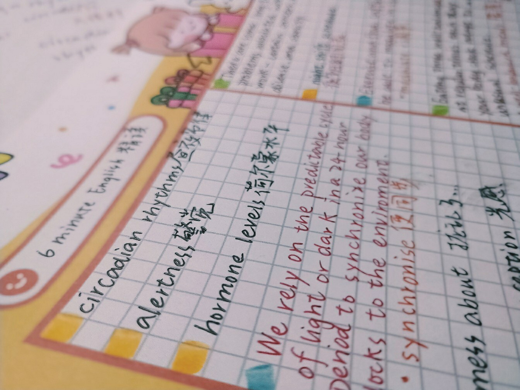 6 minute english精读:昼夜节律 circadian rhythms昼夜节律