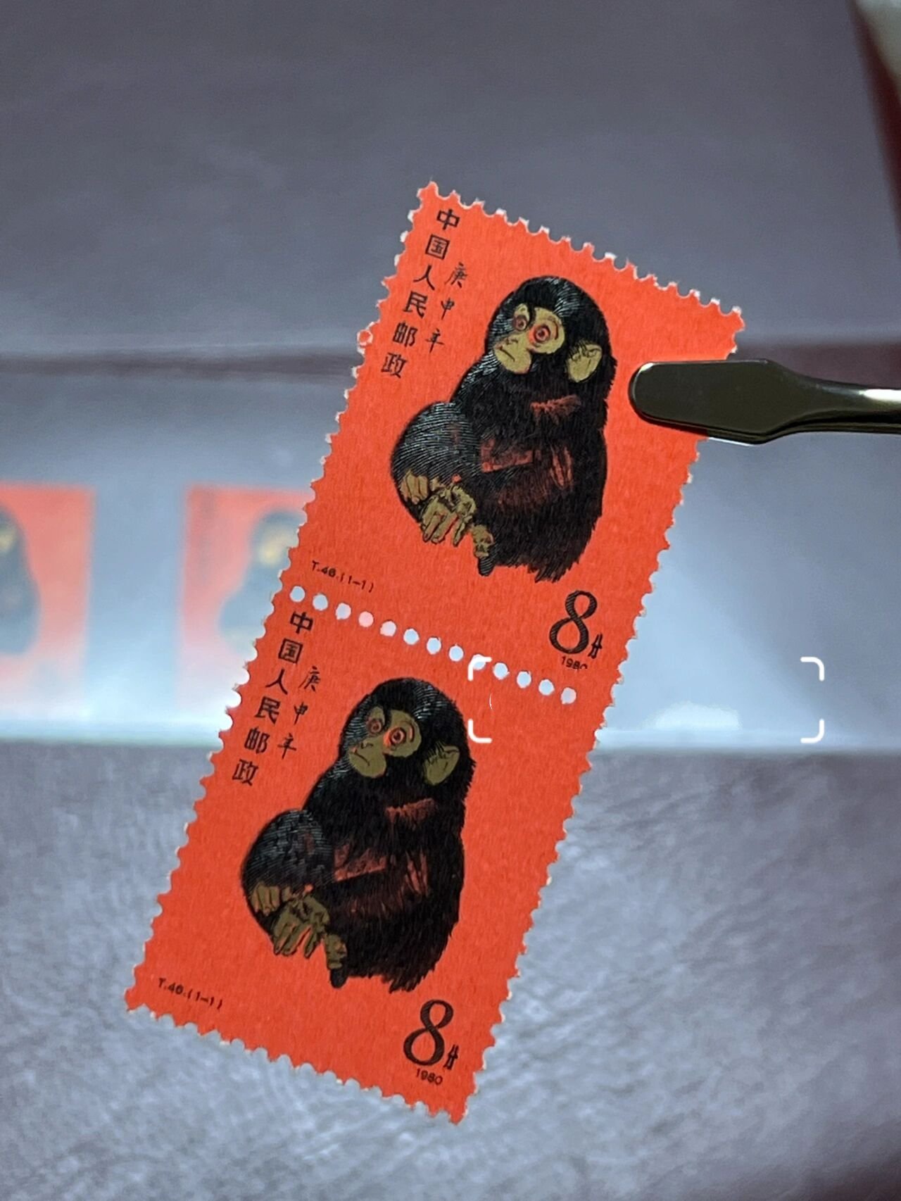 虚拟货币猴币(猴币mc今日价格) 虚拟货币猴币(猴币mc今日价格)