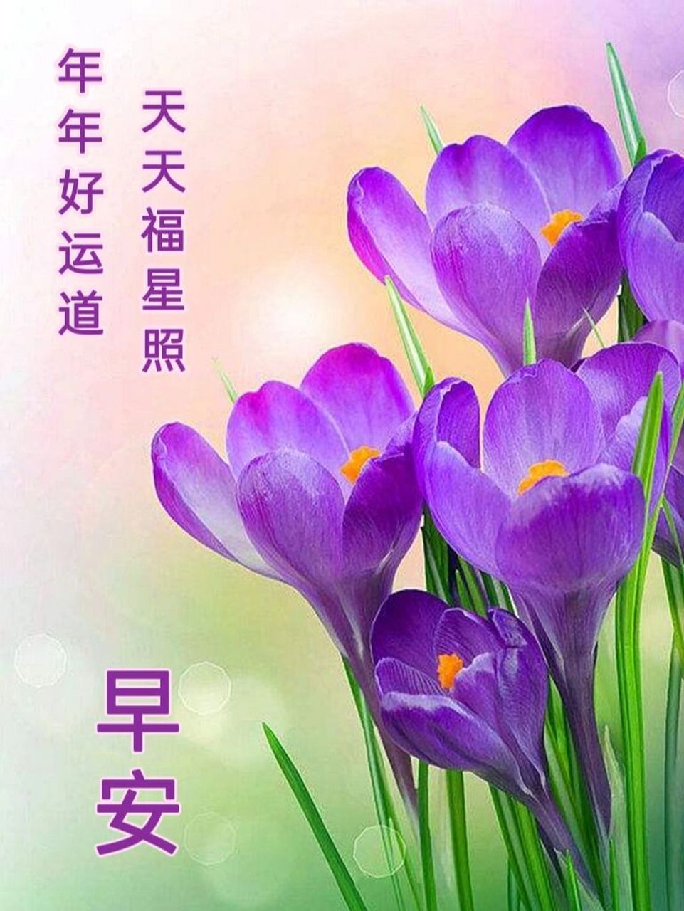 早安问候图片 生活原本沉闷 但跑起来就有风 ……7815 祝 你 78
