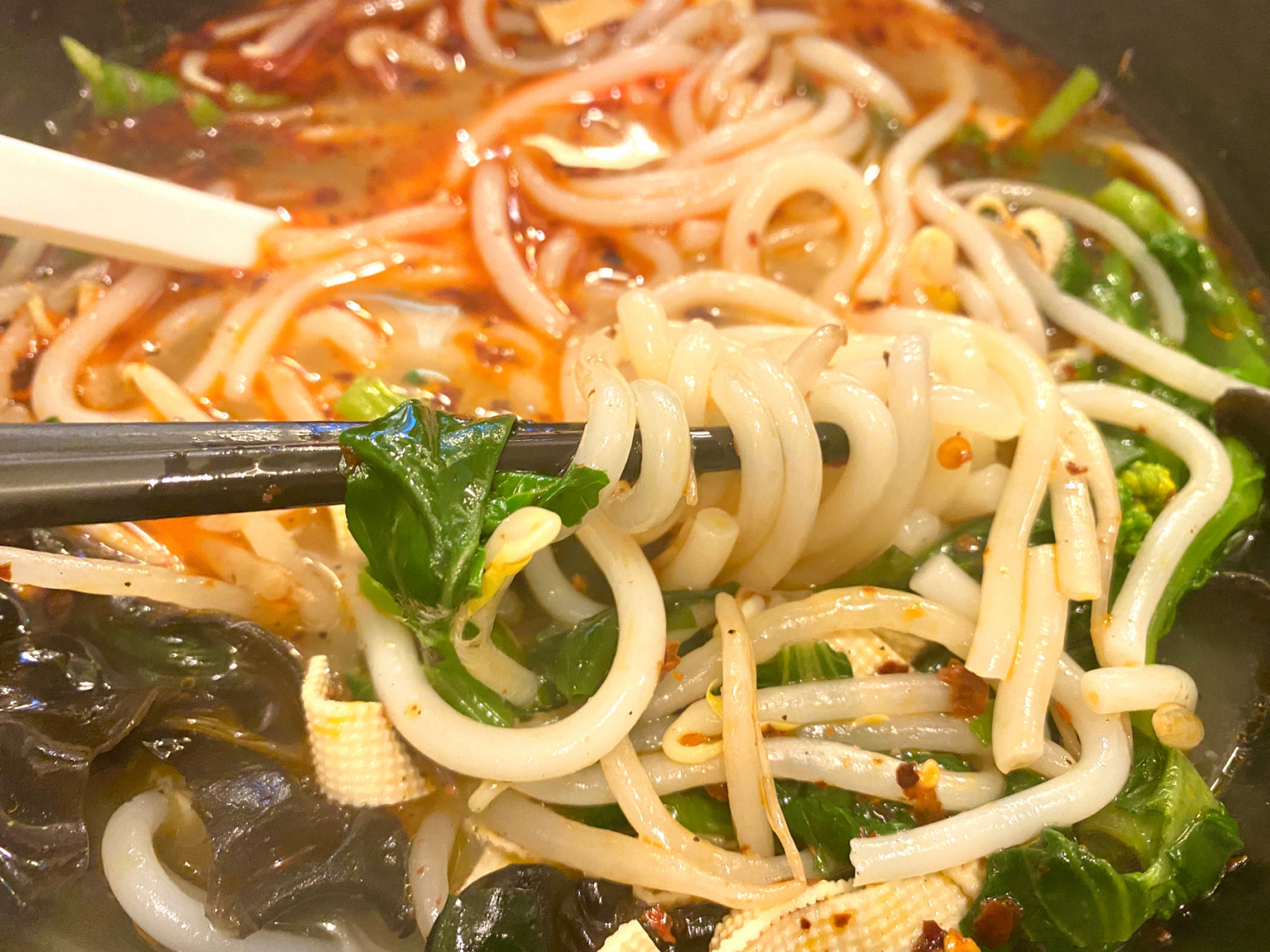 东京生活|面条忠实爱好者的嗦面嗦粉日常90 我真的太爱嗦面嗦粉了