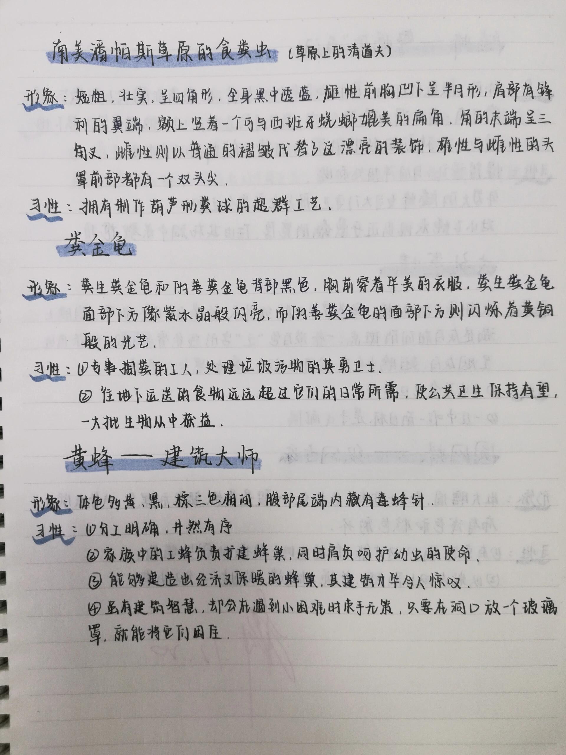 《昆虫记》——食粪虫,粪金龟,黄蜂