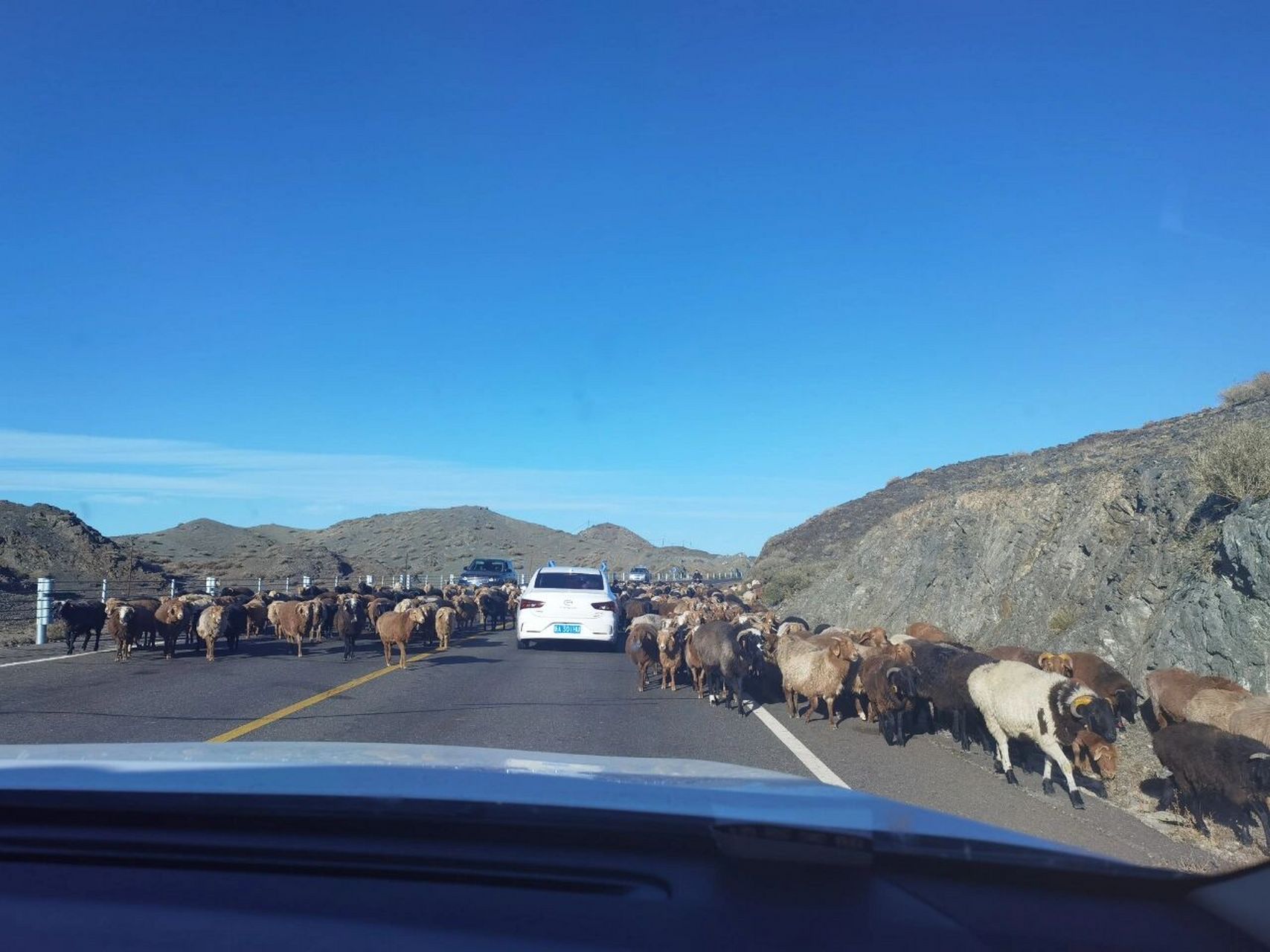 新疆第二天从乌鲁木齐自驾到喀纳斯全程记录  今天在车上整整12个小时