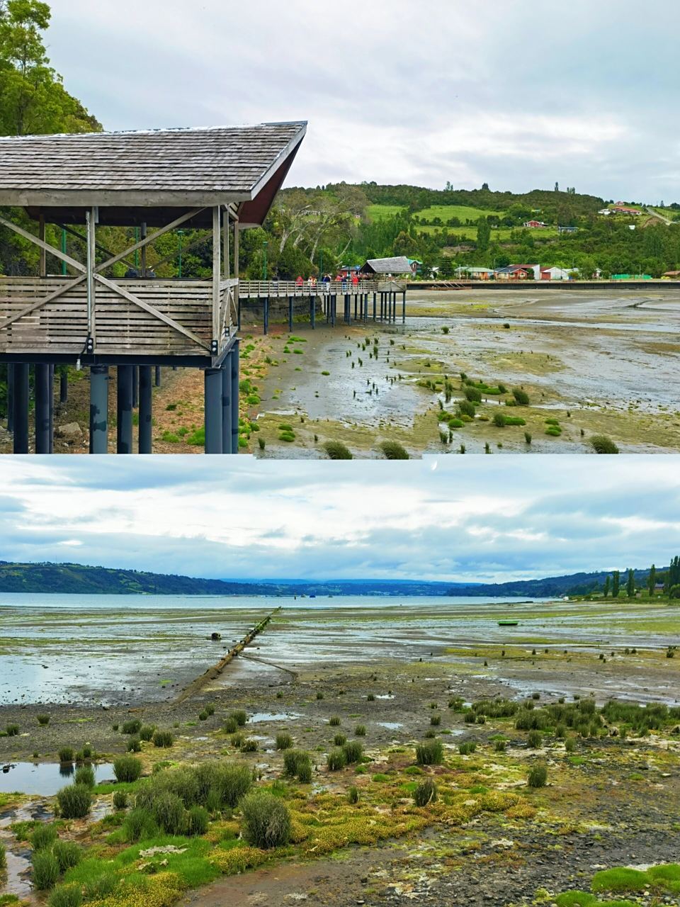 南美行14|智利 因木制教堂成为世遗之地  今日行程是游览奇洛埃岛
