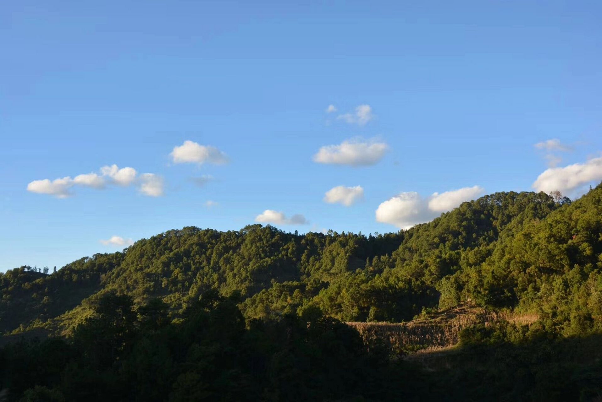 勐库东半山和西半山图片