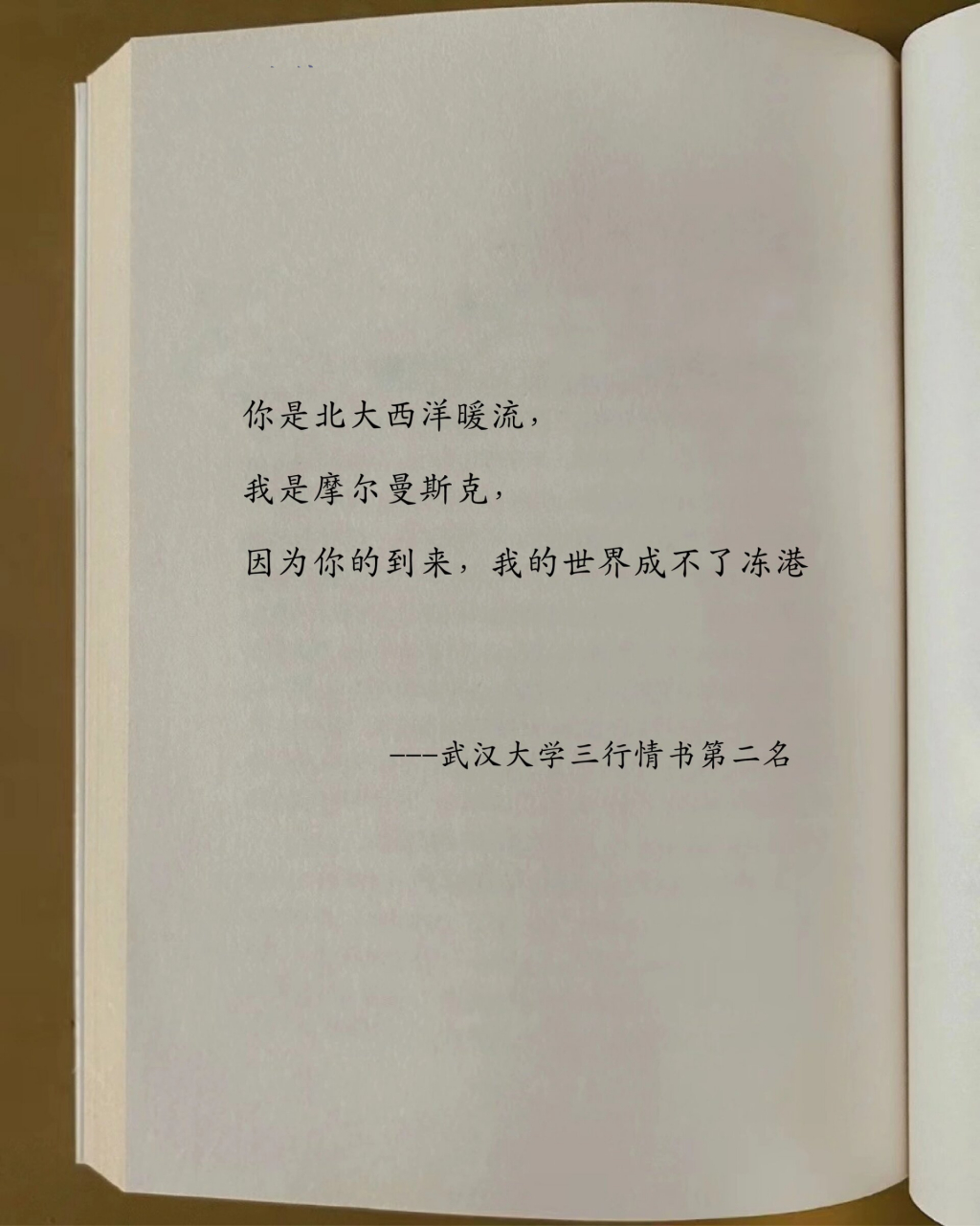 武汉大学三行情书前十名