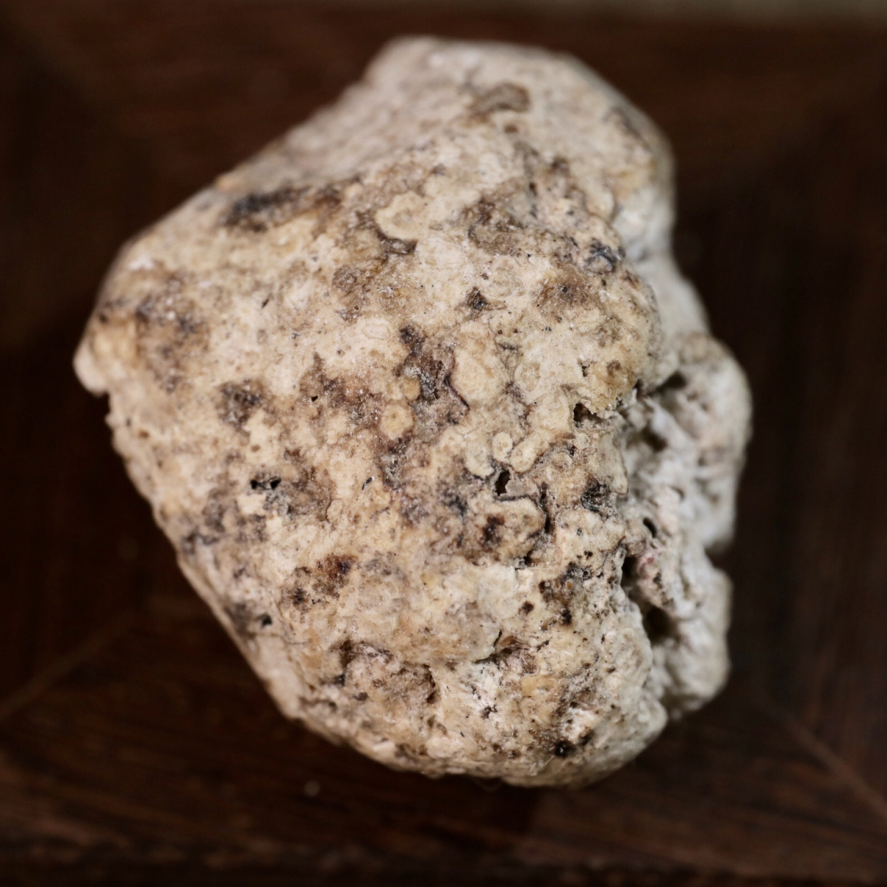 香材·龙涎香的真假分辨 龙涎香,从古至今都有一层神秘的色彩,在众多