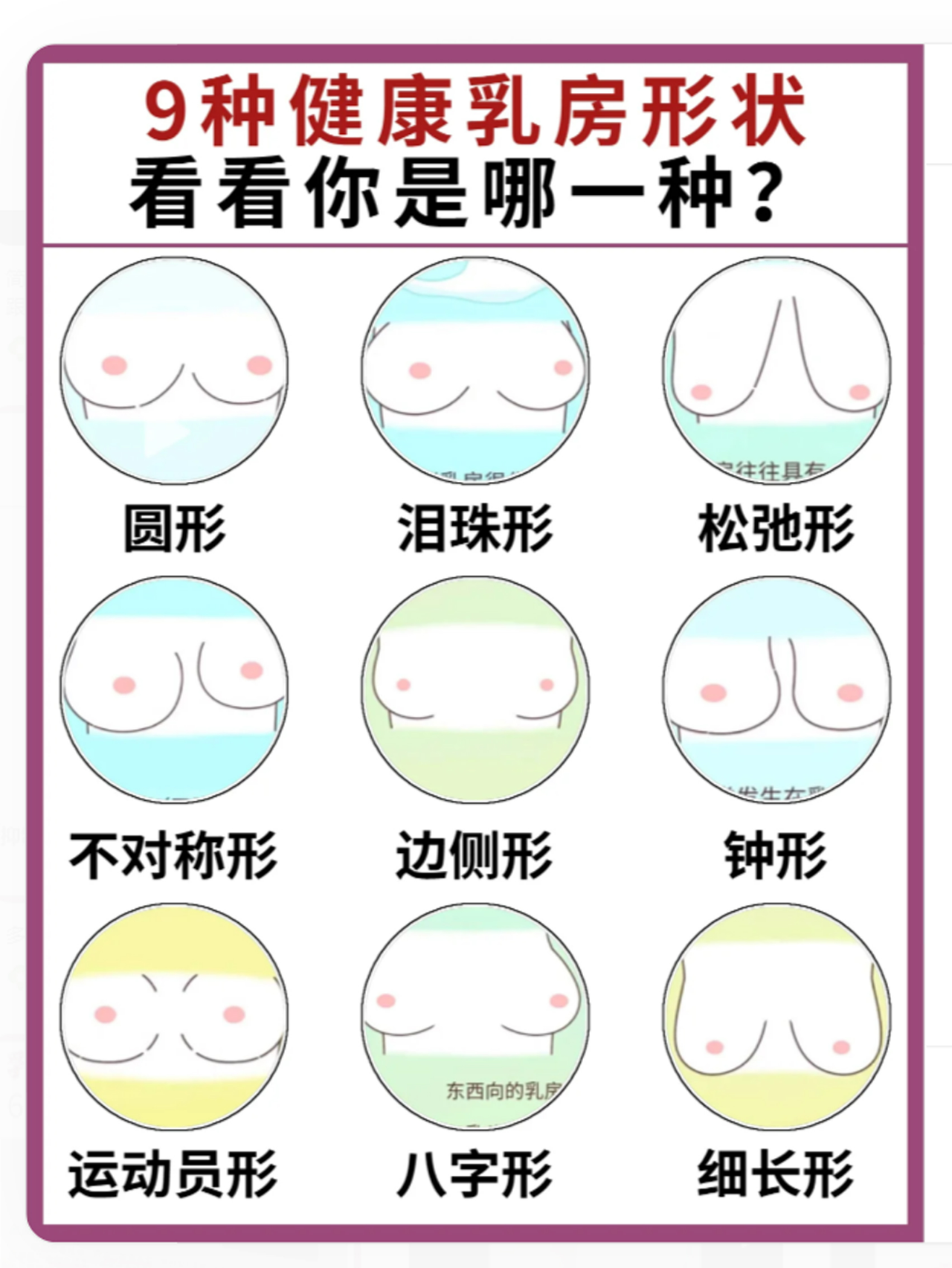 大乳头女性 正常 外观图片