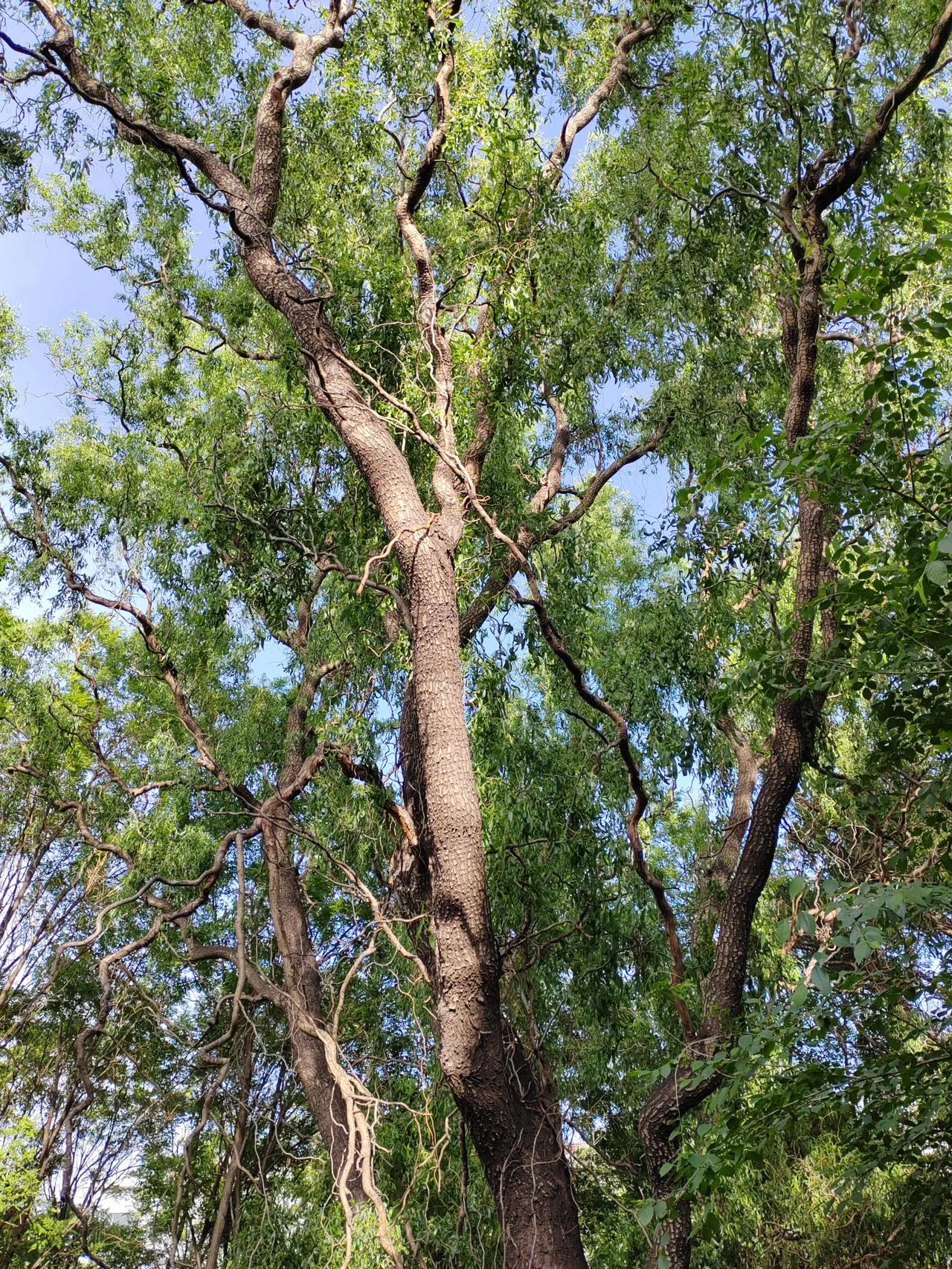 读书的最大意义是什么书中自有黄金屋,书中自有颜如