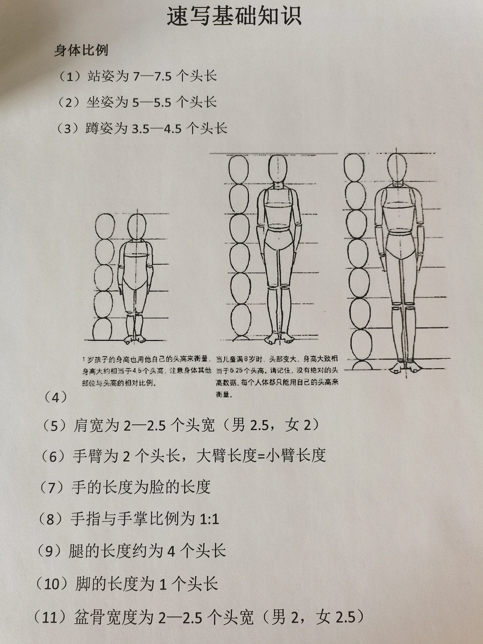 速写基础小知识