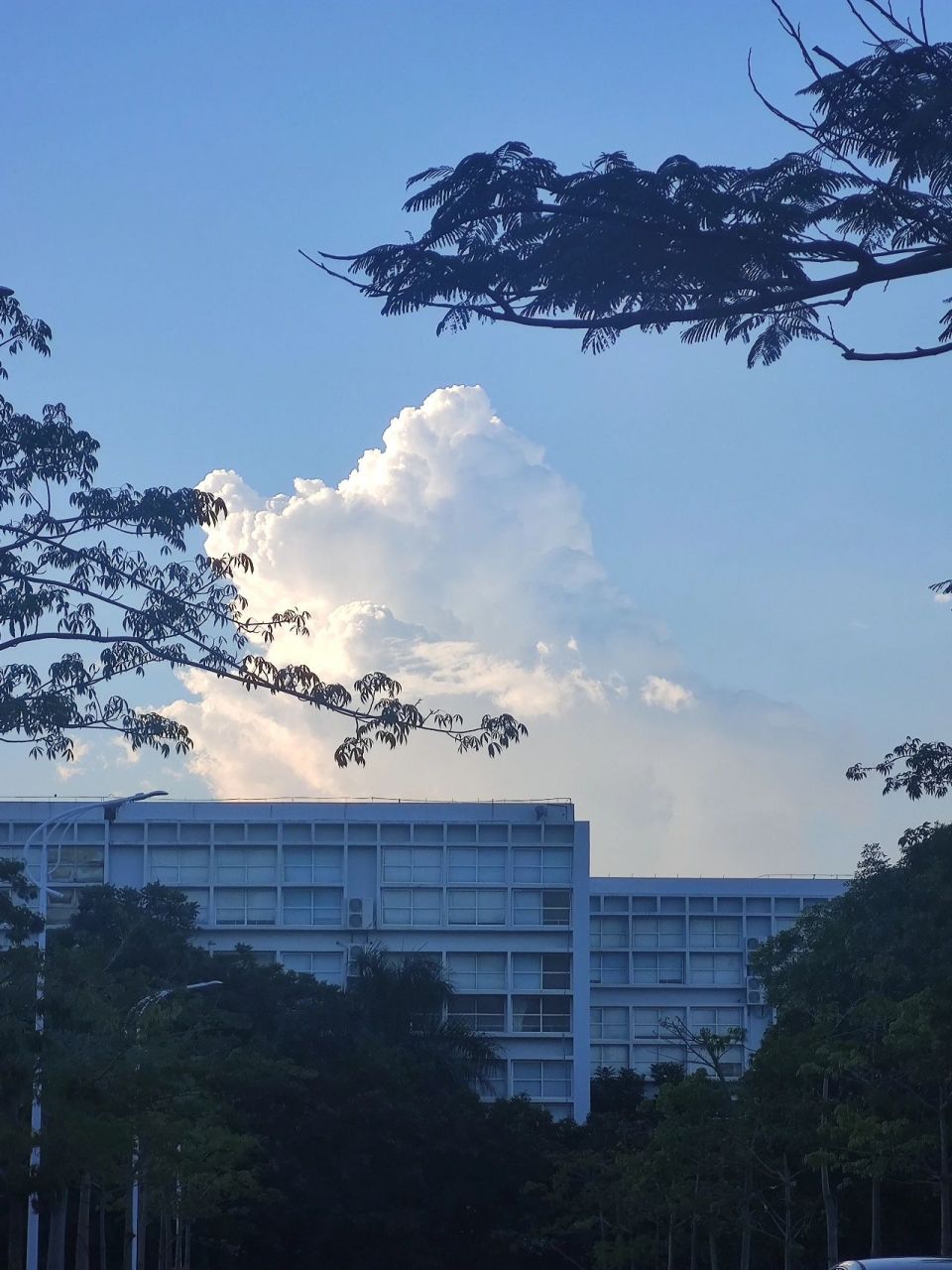 恭喜各位同学录取到南洋学院 21566.