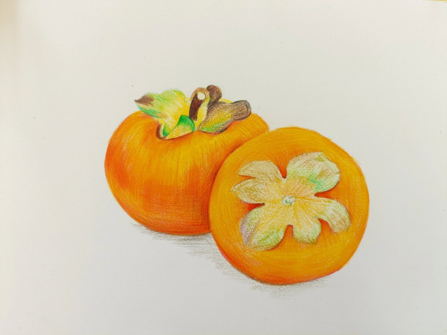 秋天柿子彩铅画