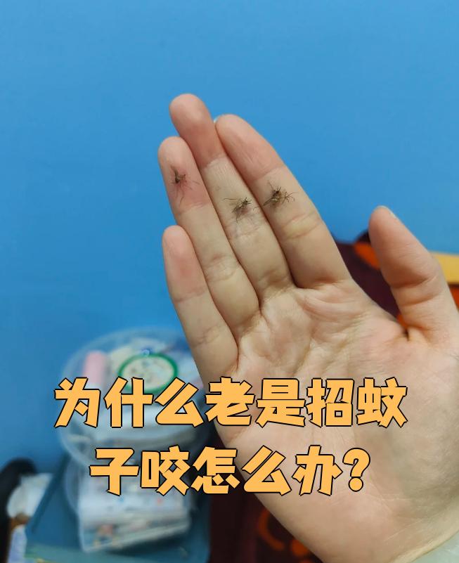 为什么老是被蚊子咬 为什么老是被蚊子咬