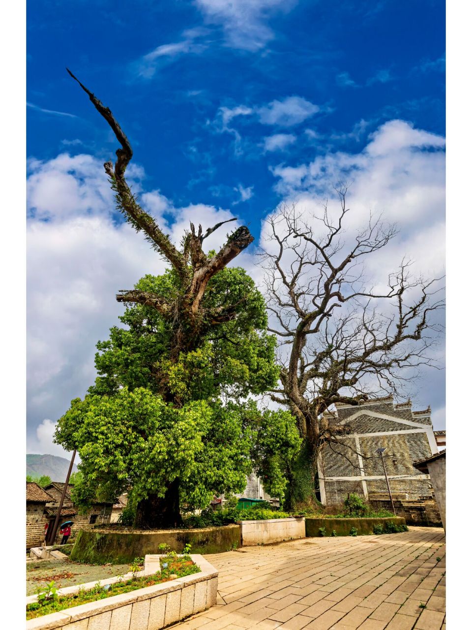 江西抚州市乐安县流坑古村 流坑村,江西省抚州市乐安县牛田镇下辖行政