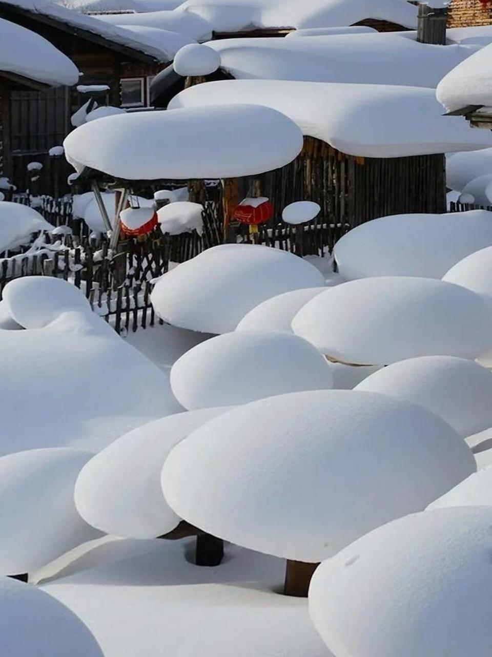 东北照片雪景图片