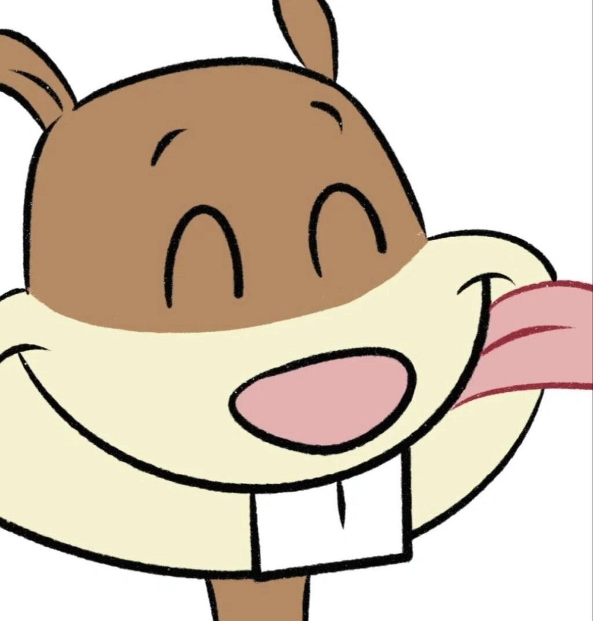 松鼠珊迪头像(1) 图源网络,知道原创的贝贝们艾特我