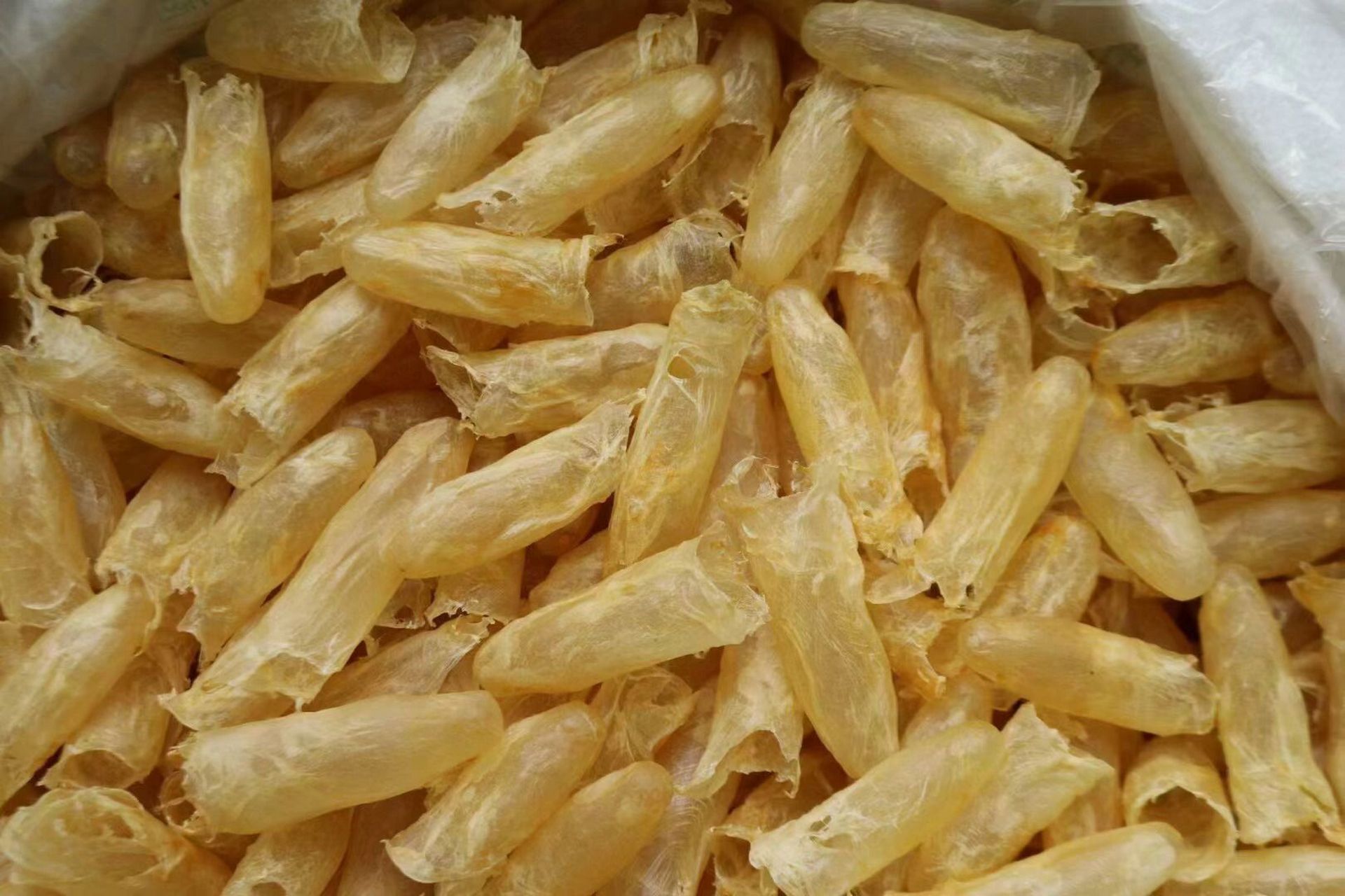 黄花鱼胶的功效主要是补血气,其次美容养颜,调节内分泌,养