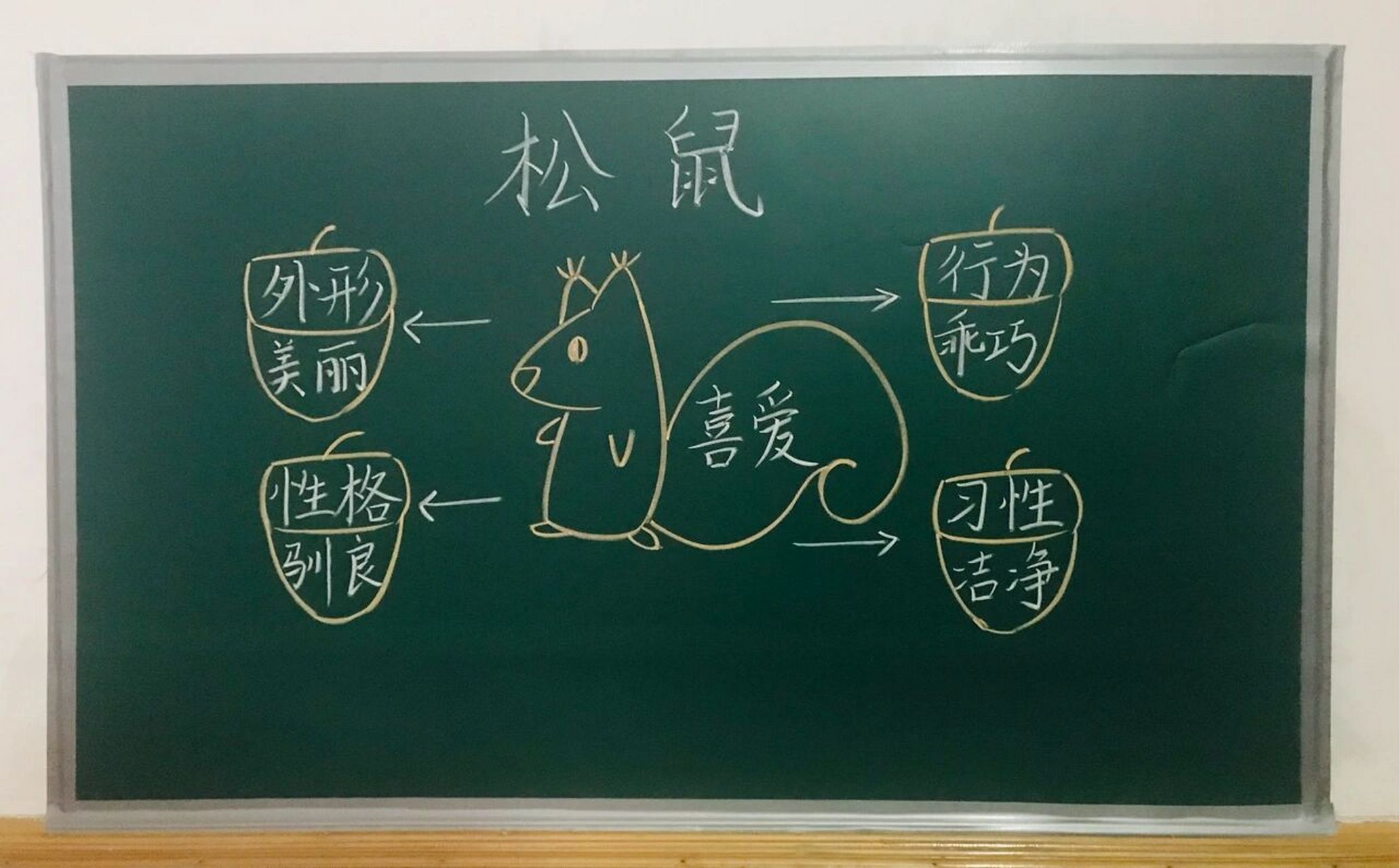 五年级上册《松鼠》97板书设计 #小学语文板书设计