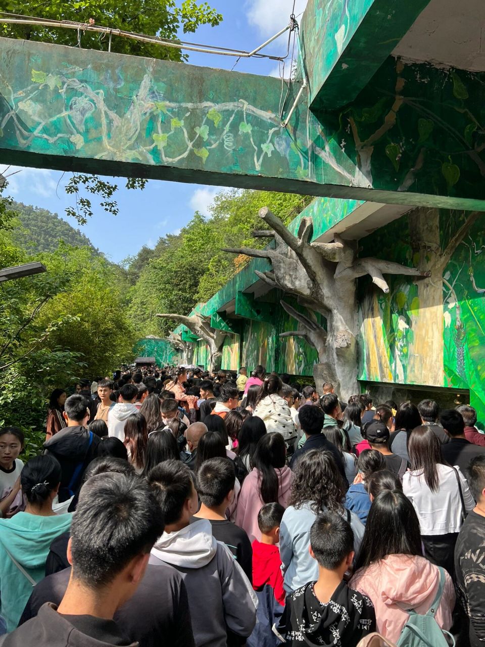 黔灵山公园动物园,看不到的我帮你拍了 人也太多了