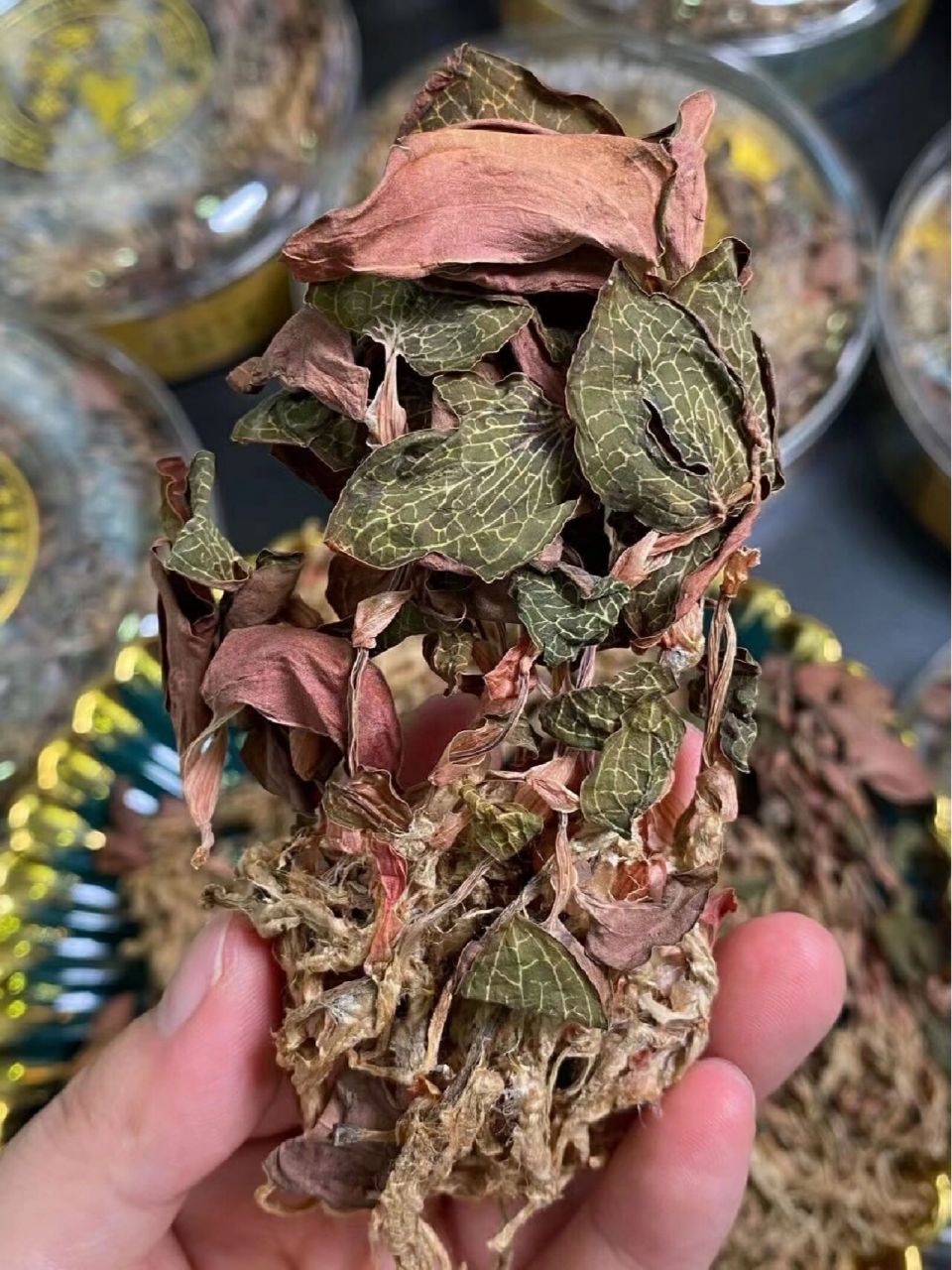 金线莲的常见七种食用方法73七大功效 94金线莲有哪些食用方法