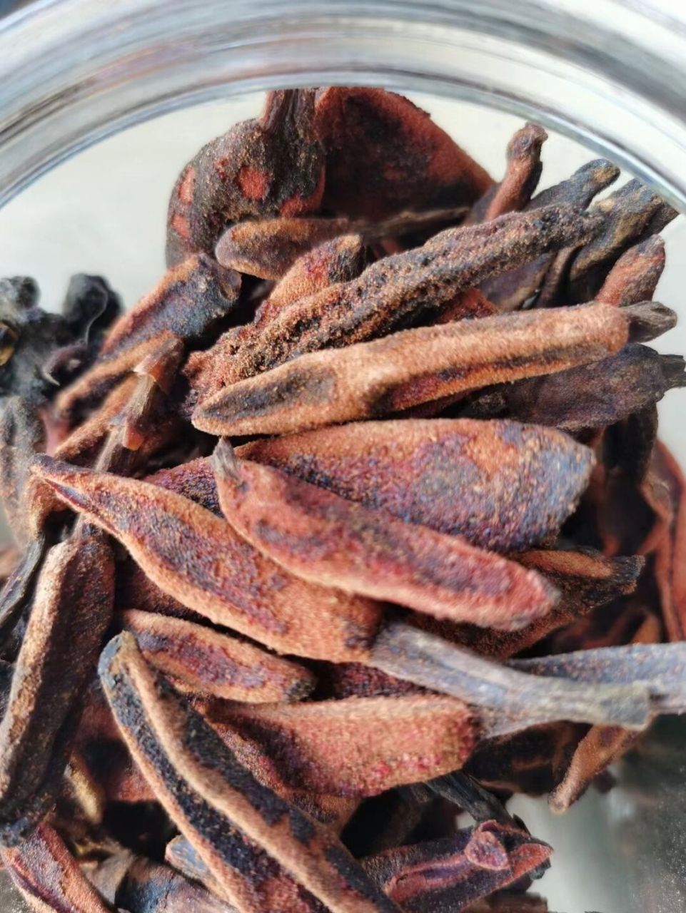 回春草 回春草又叫又顶天柱,有滋阴补阳,舒筋活血,增强免疫力的功效.