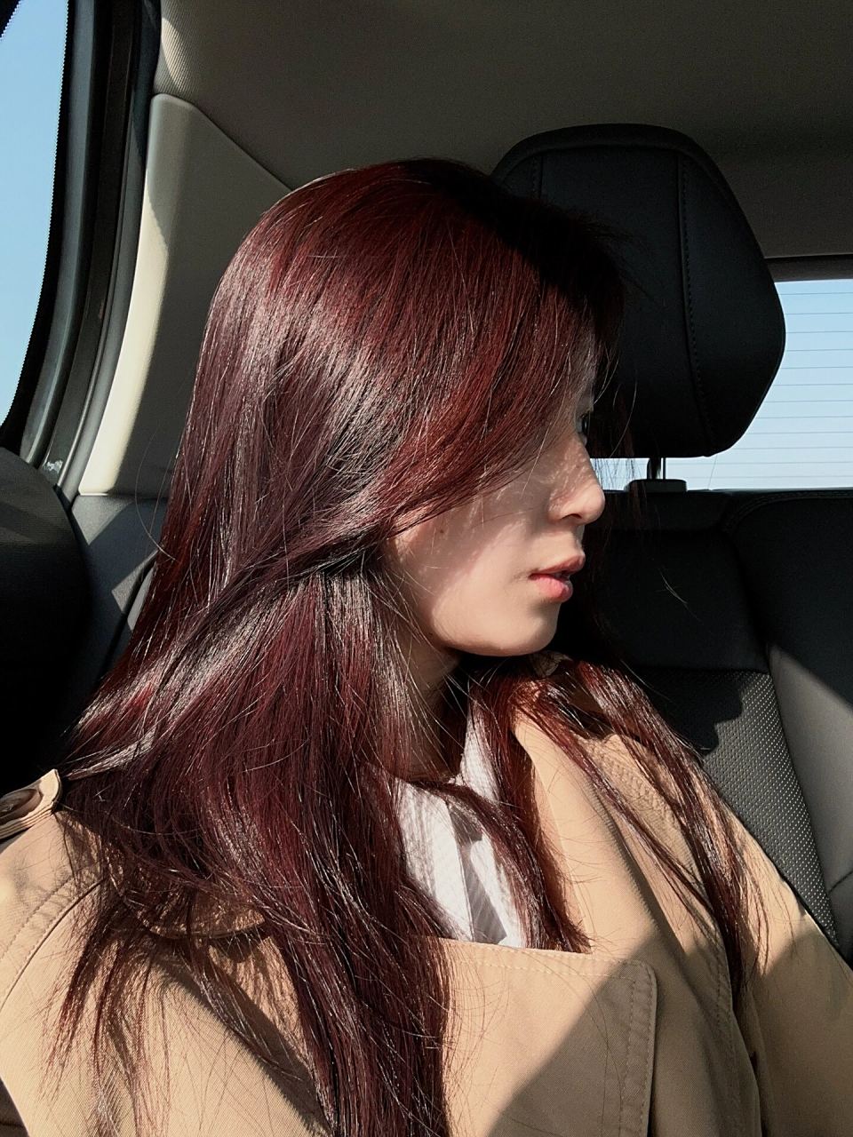 施华蔻染发膏木槿褐棕  图1661526615灿烂阳光7715显色度