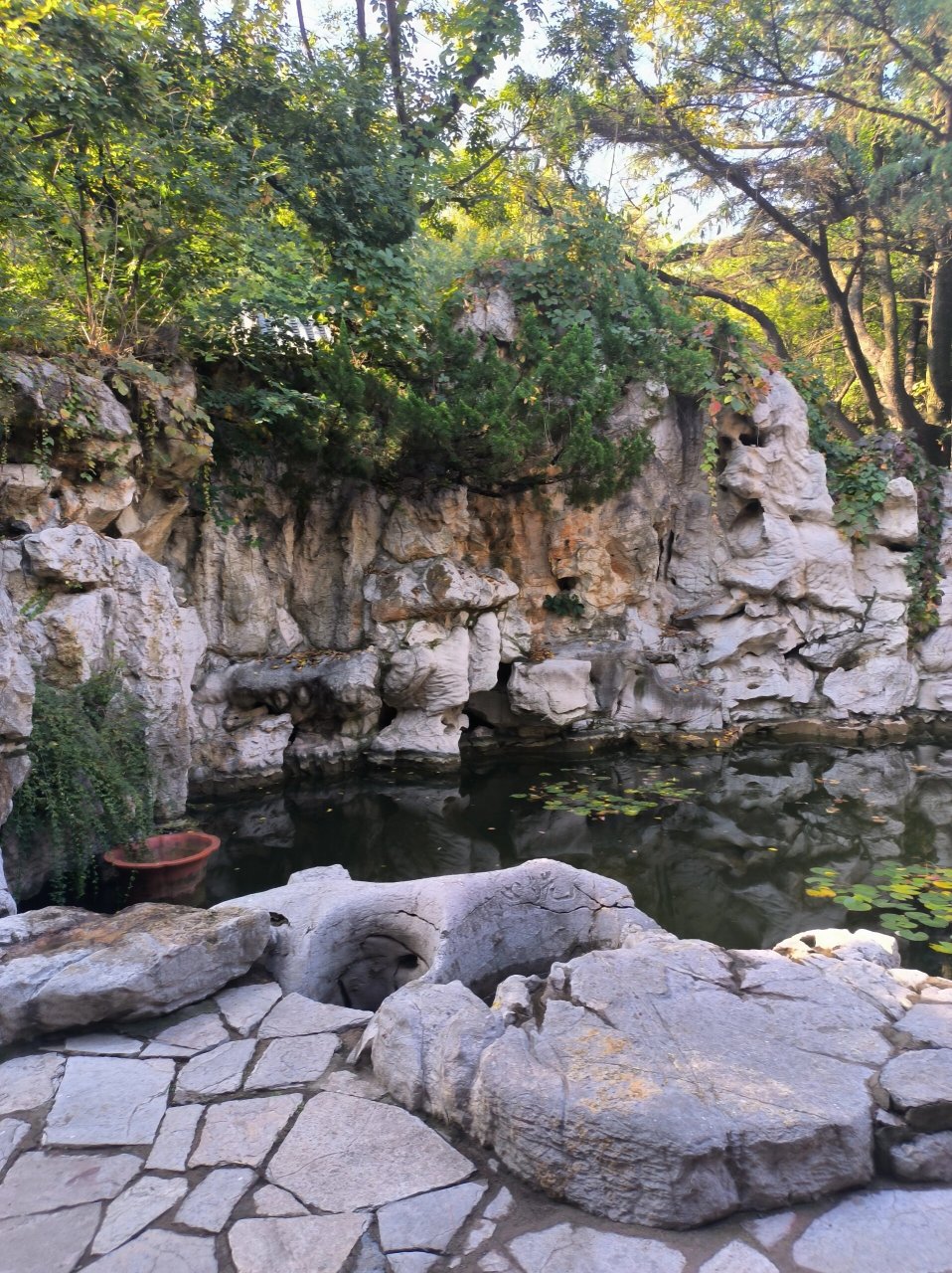 潍坊人民公园91 生活并无深意  自己喜欢便是真谛.