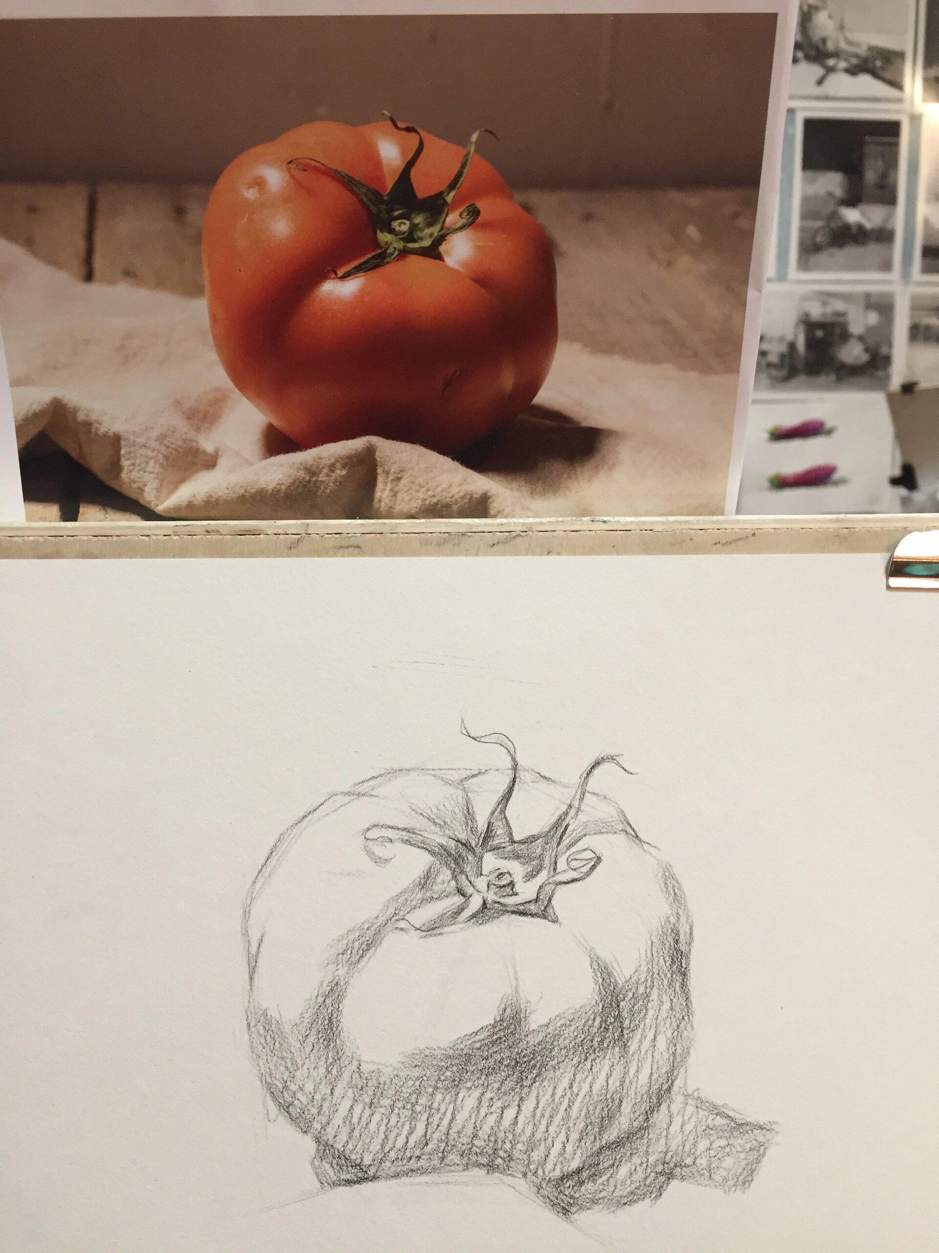 西红柿素描单体塑造