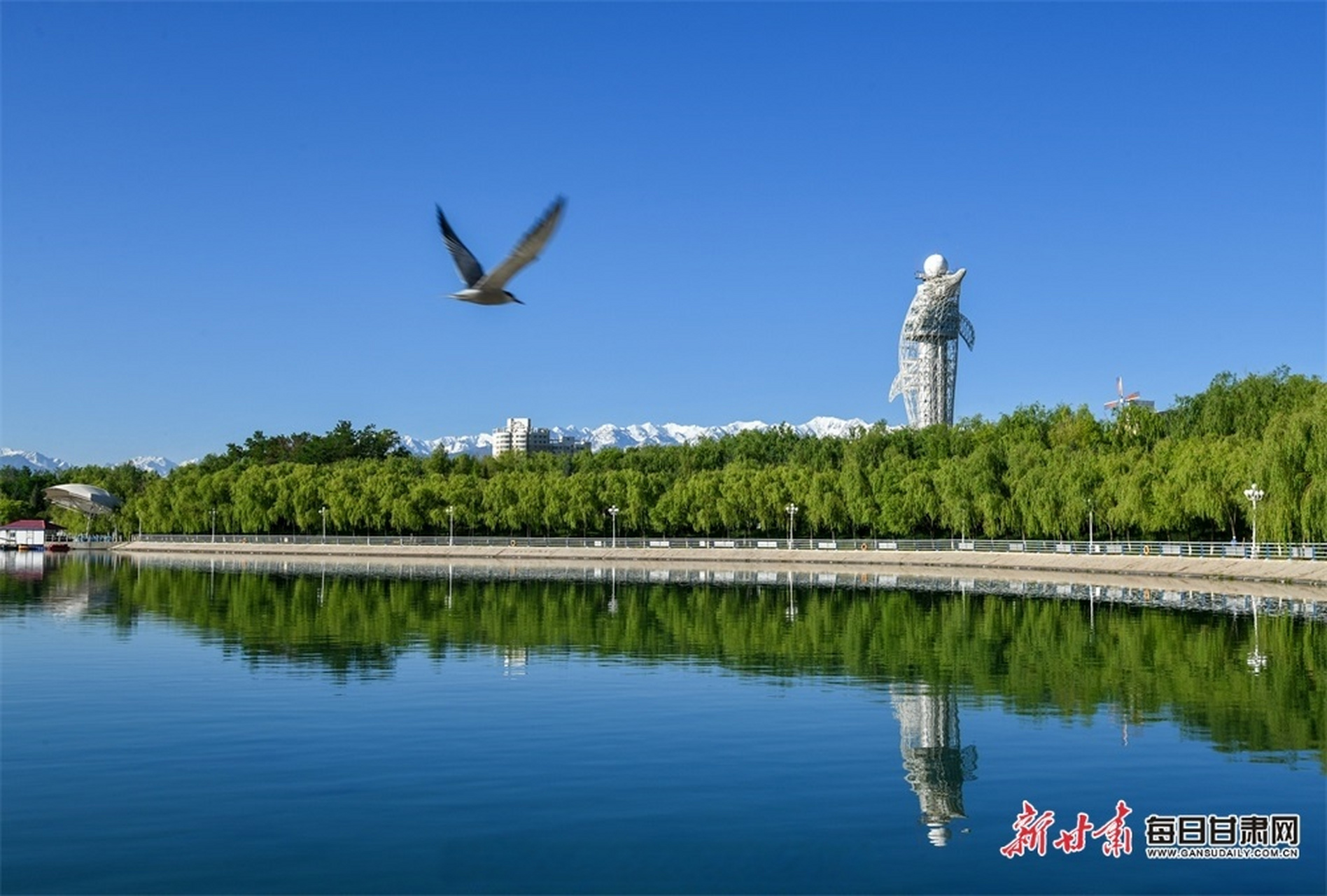 嘉峪关东湖照片图片