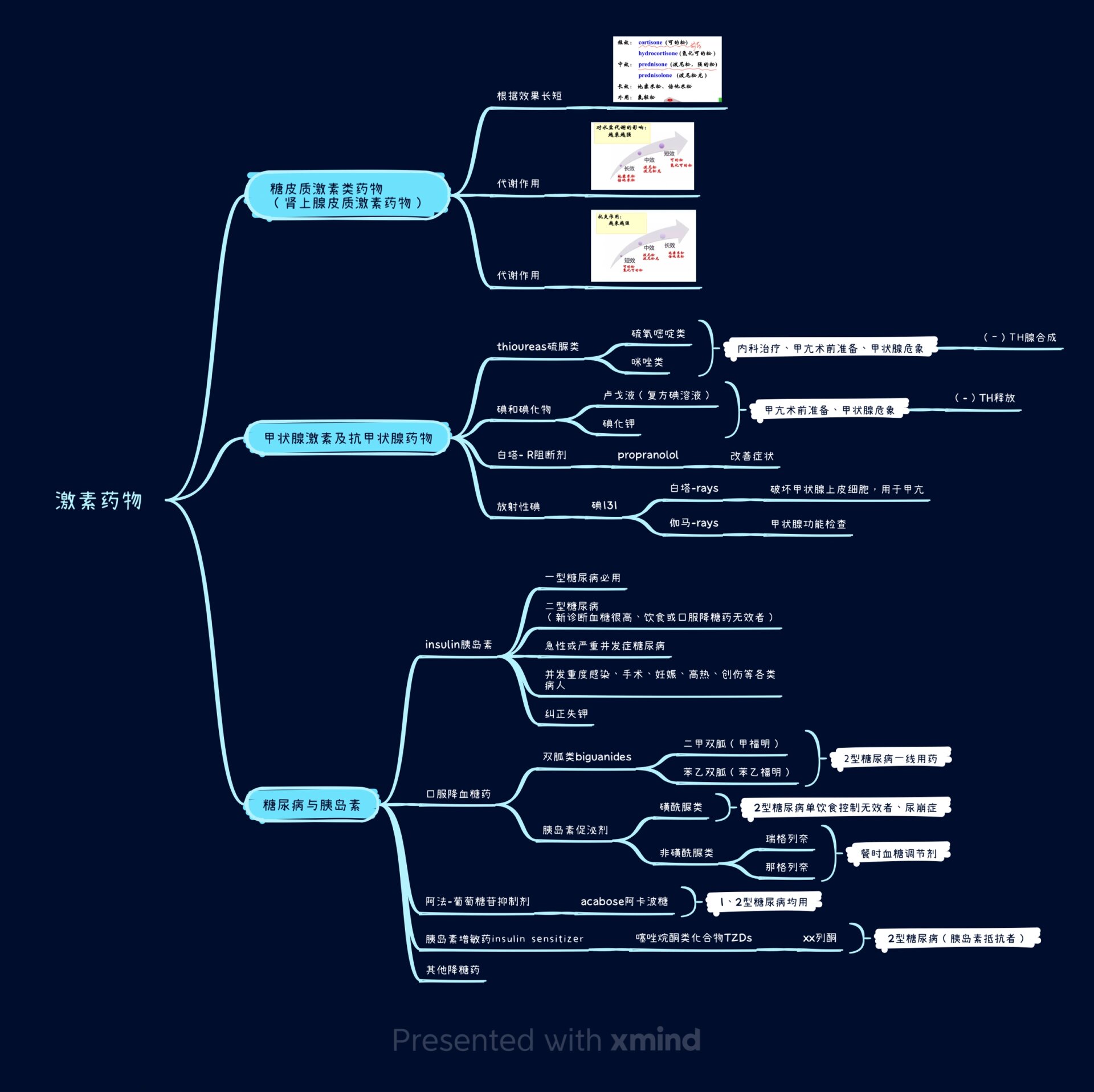 药理学思维导图手绘图片