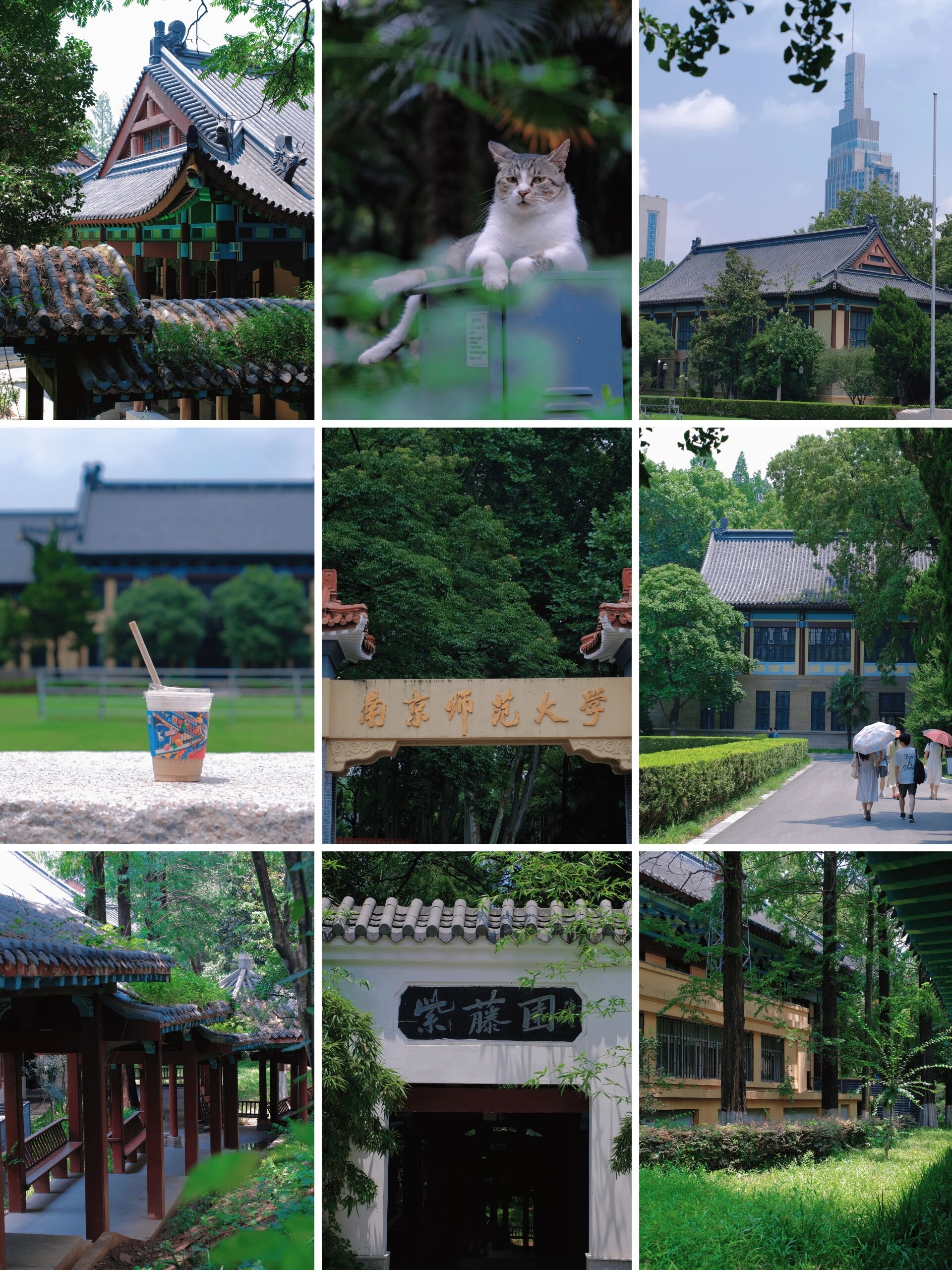 是遗址也是学校,南京师范大学金陵女子学院