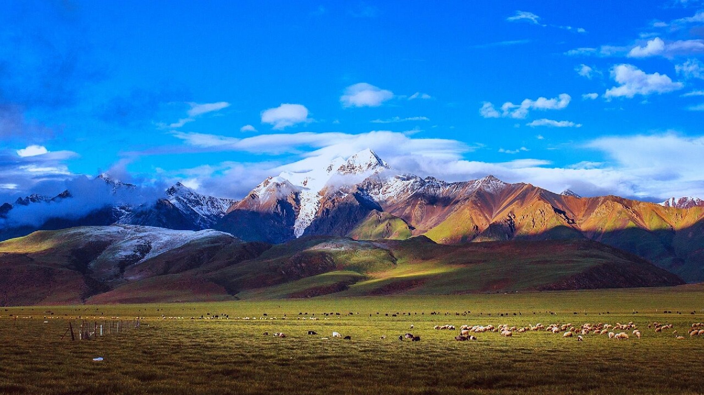 电脑屏保高清风景图片图片