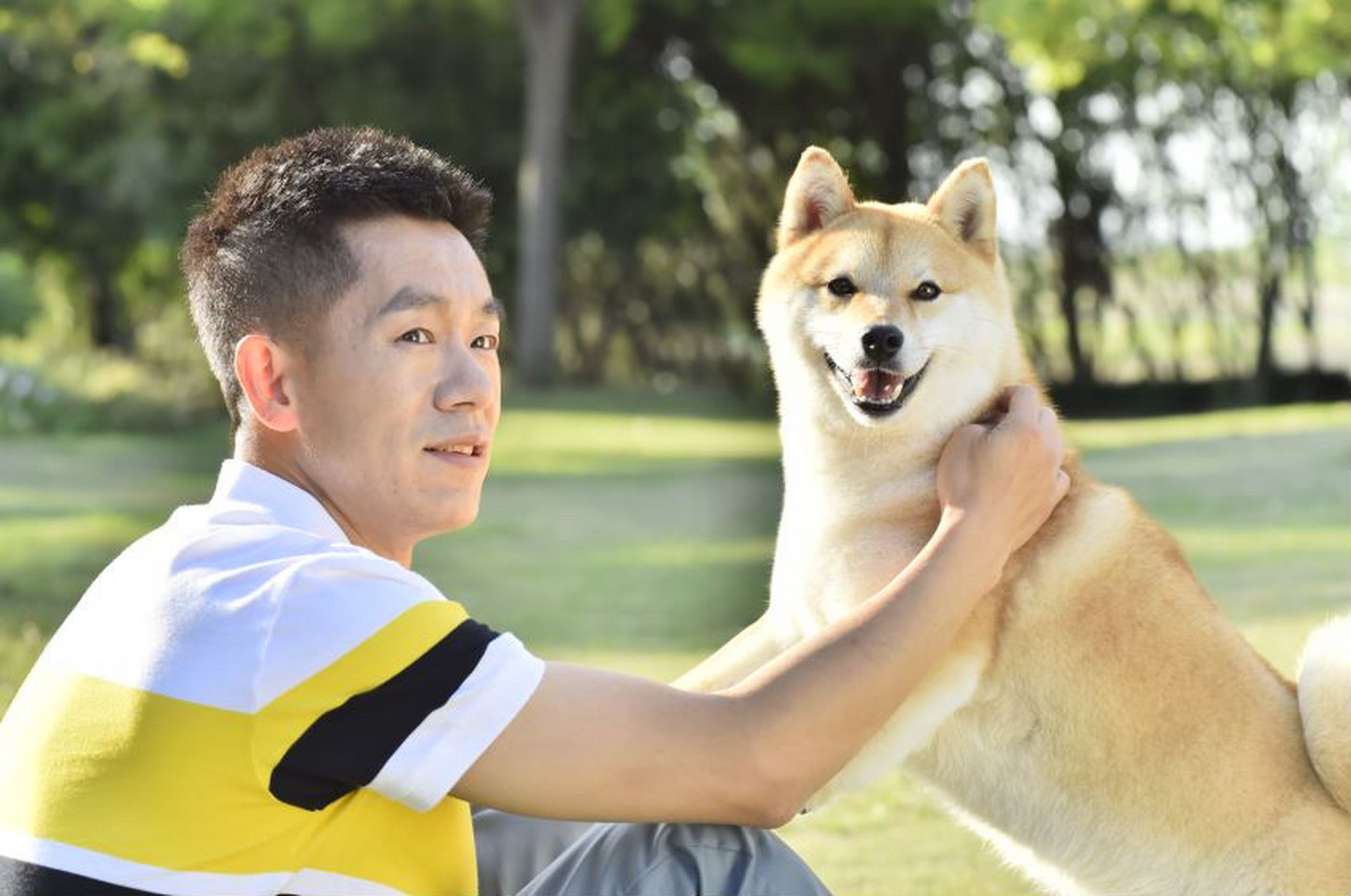 why dogs have a fever?