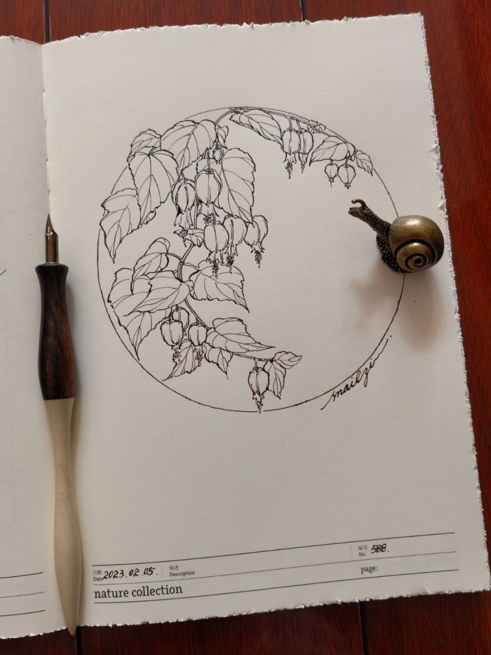 灯笼花 不会画元宵节的灯笼,就画组灯笼花吧[亲吻]nevertheless