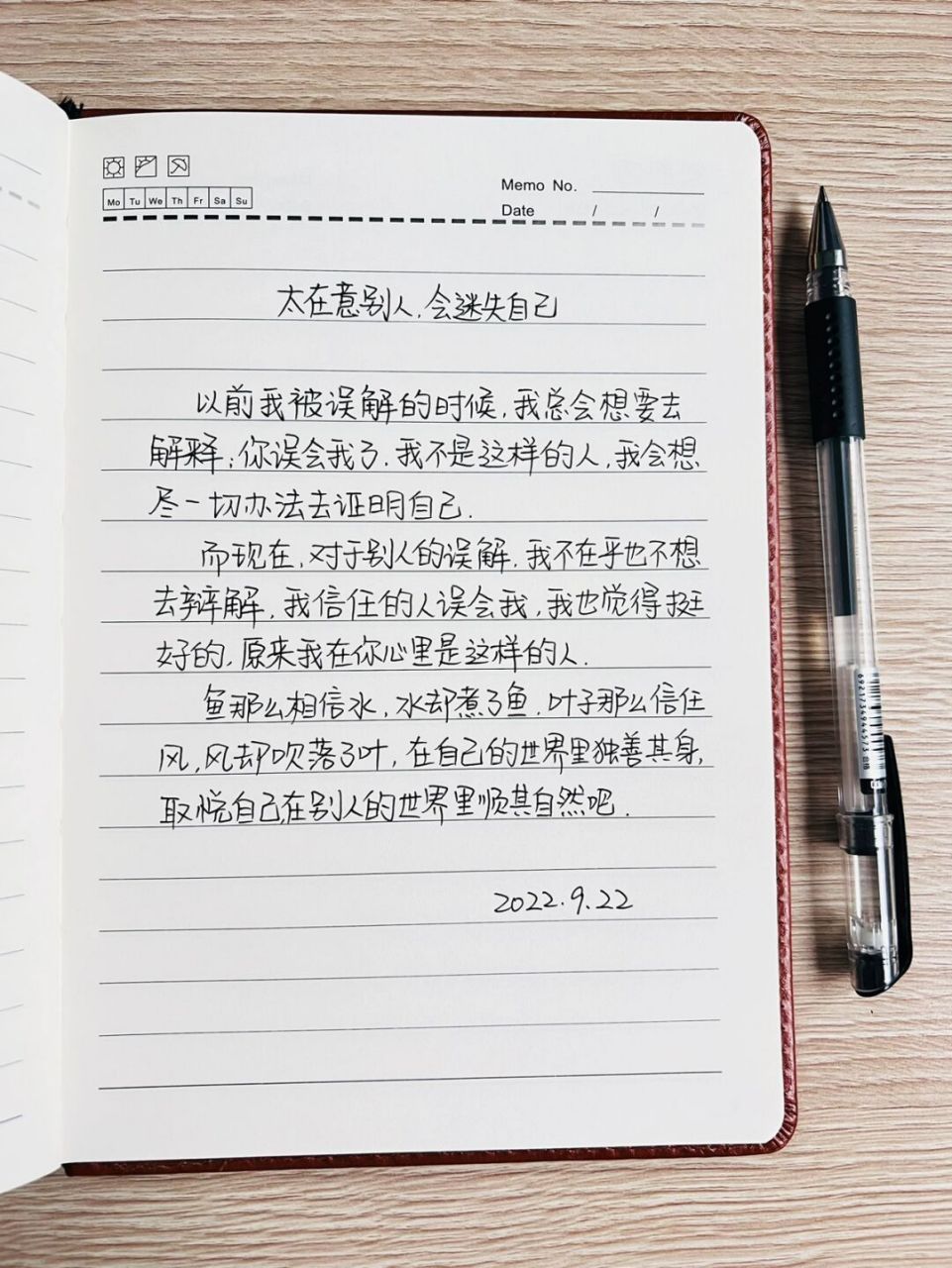 不要太在意别人的看法,自己做好自己,自己问心无愧就好 #手写文案