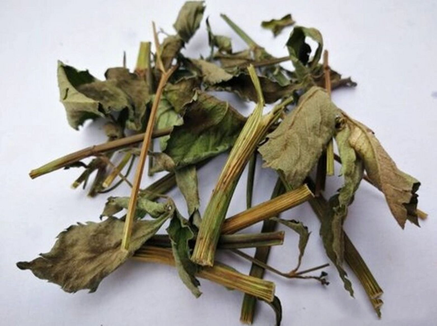 岭南草药坊 第二十三期【一包针】 岭南草药坊 第二十三期 【一包针】