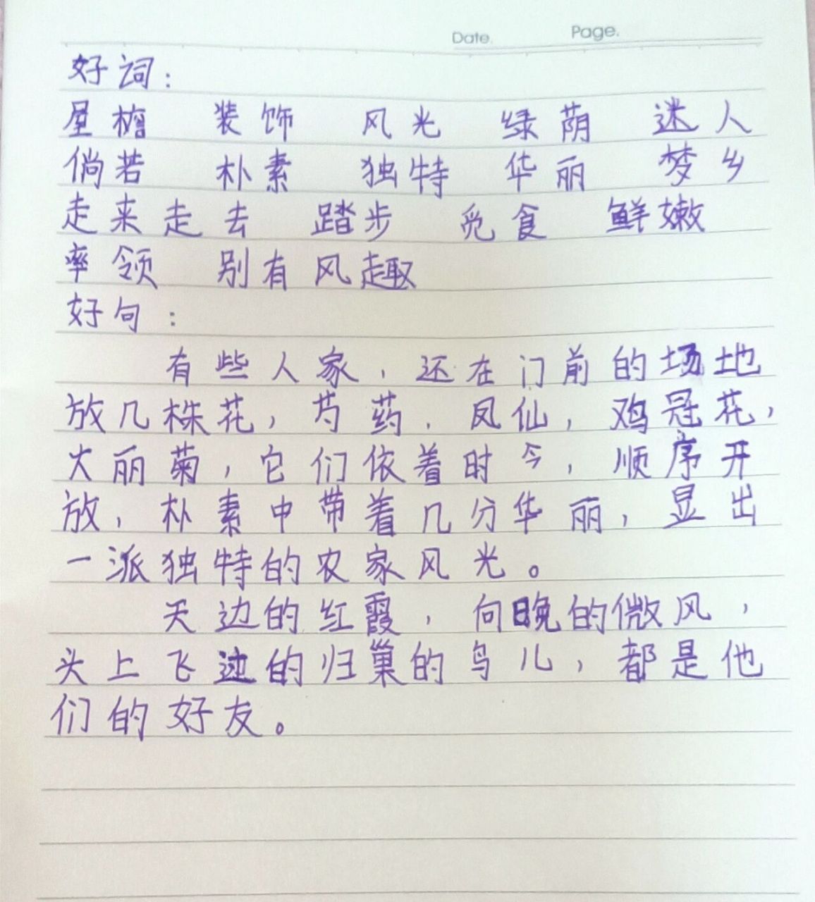 《乡下人家》读书笔记96