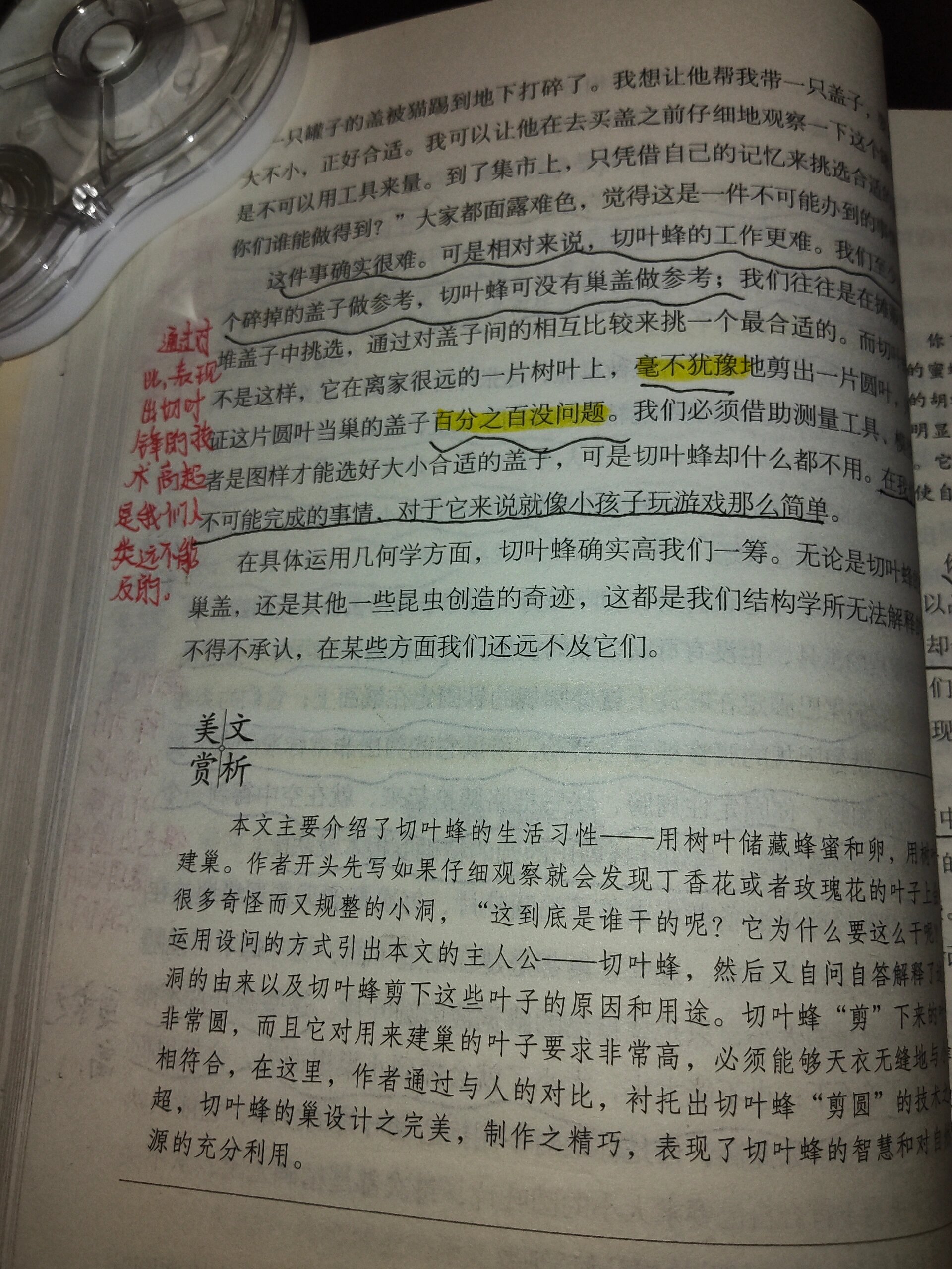 《昆虫记》第6章 切叶蜂