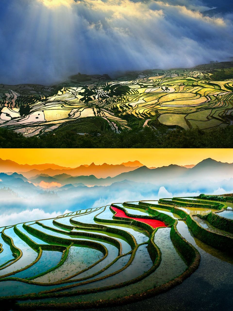 元阳梯田,正式放水的时候,摄影最美的时候 05【包括景区】1:坝达