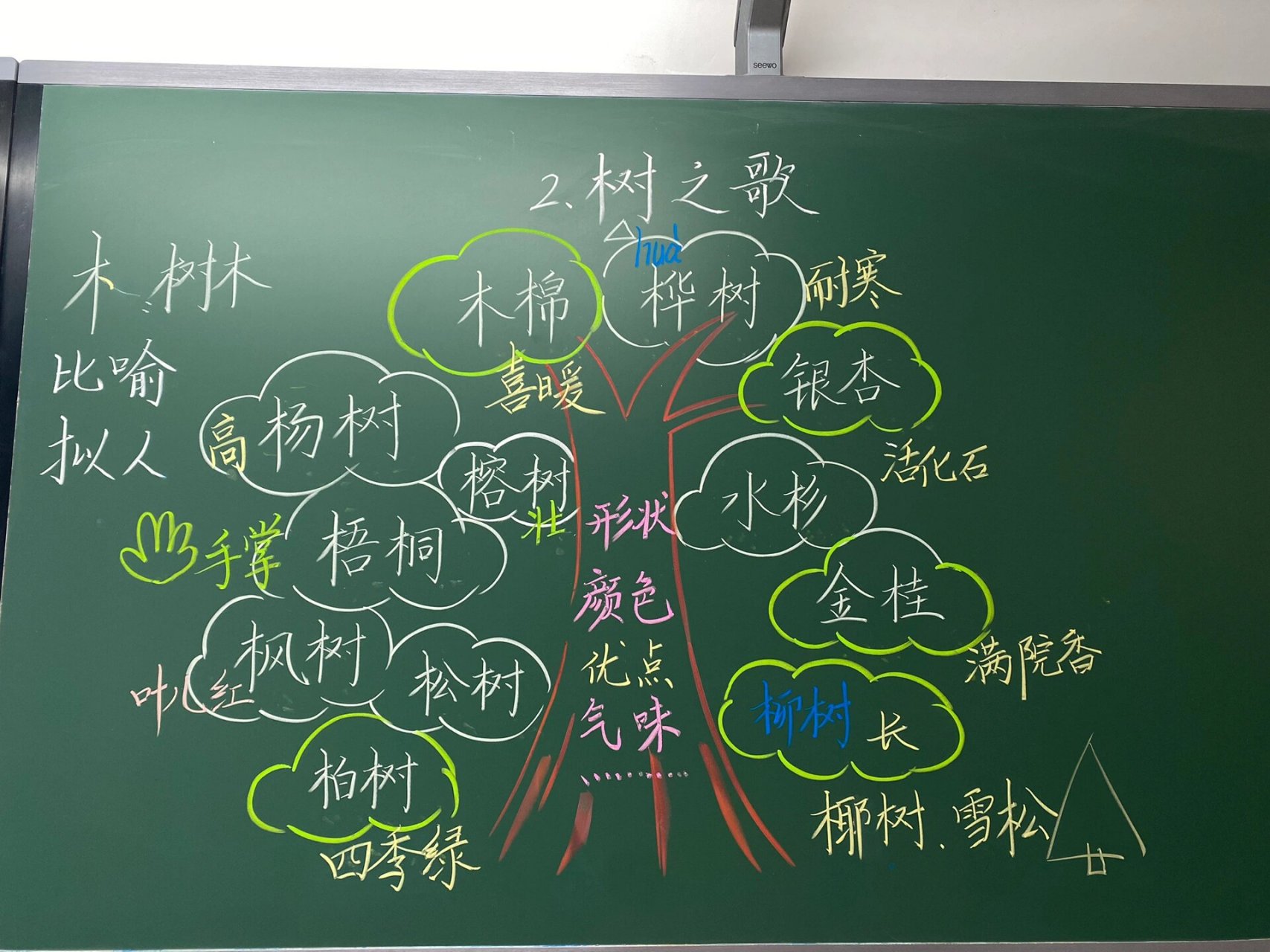 《树之歌》板书设计