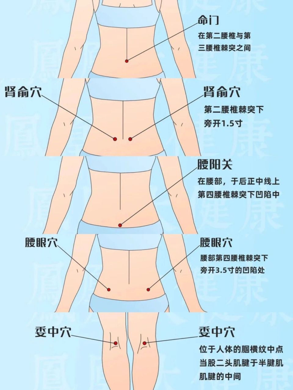 命门位置图和作用图片