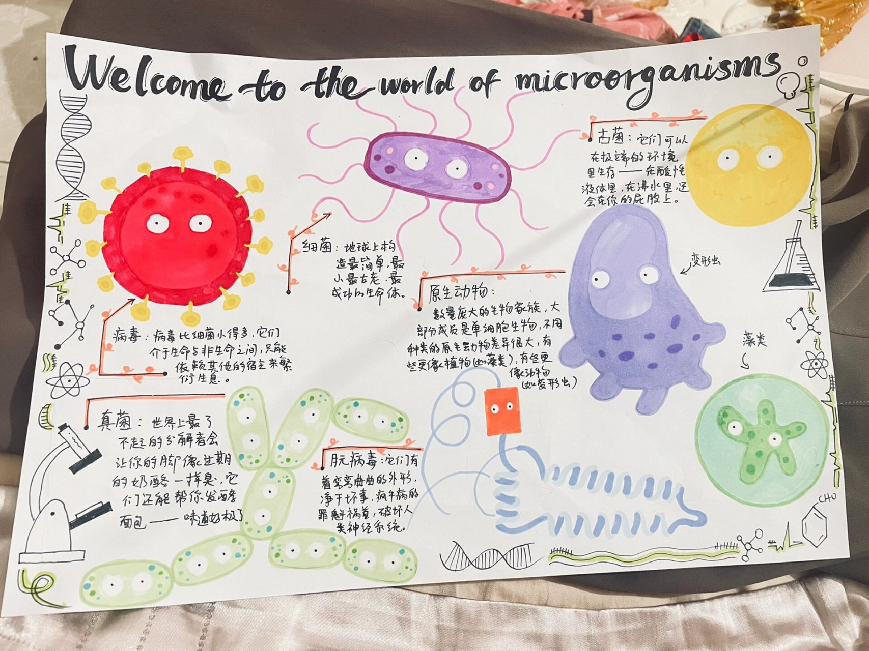 微生物手抄报图片内容图片