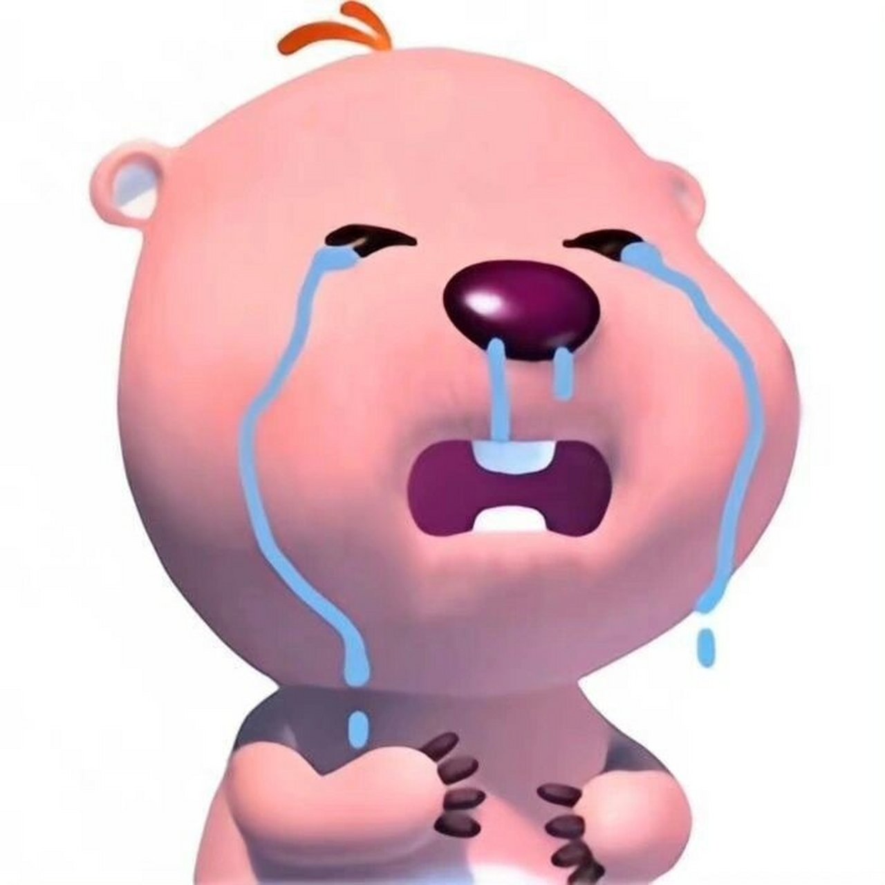 loopy表情包和头像 太爱这个淀粉肠了