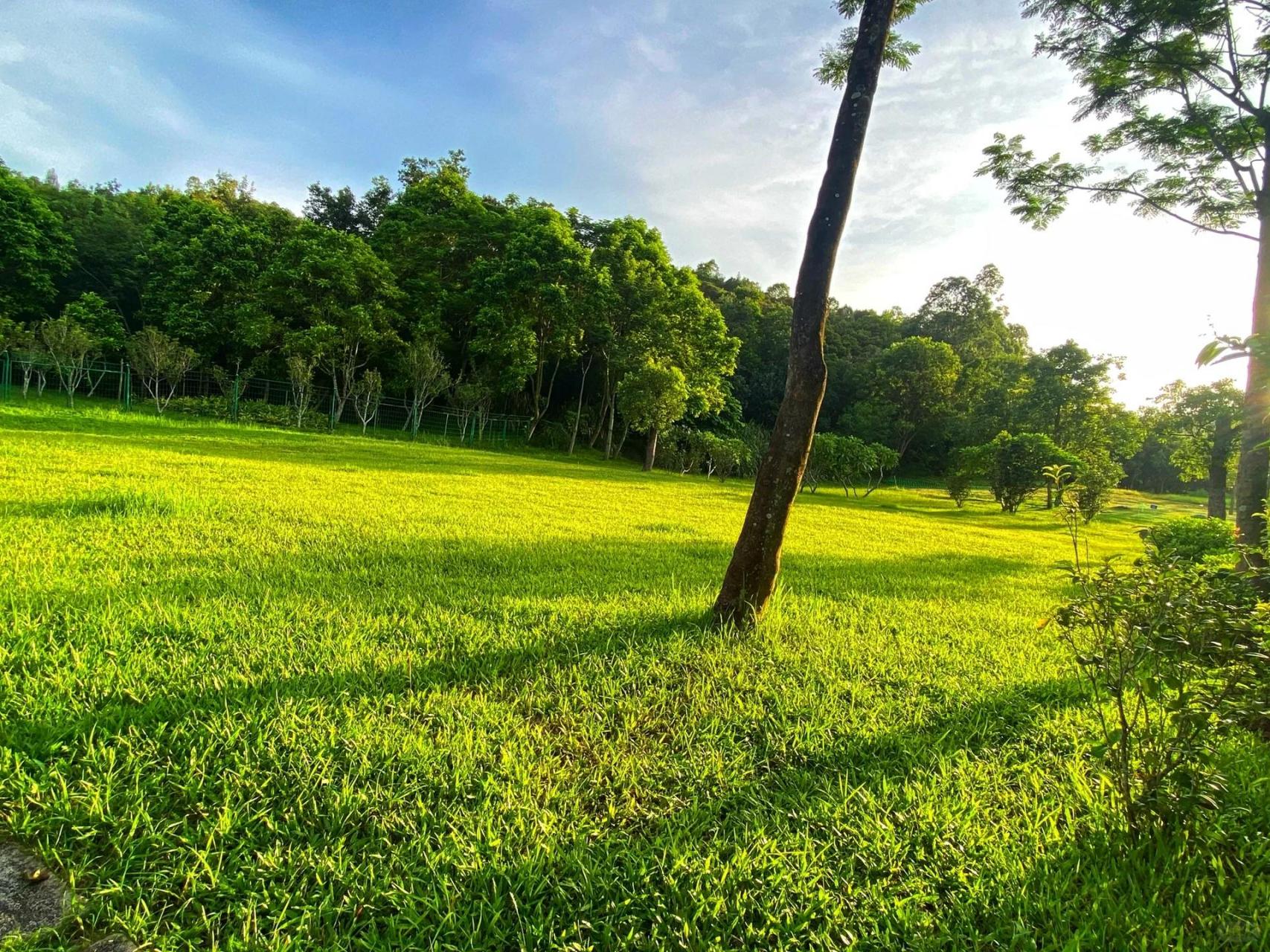 深圳龙岗 大运公园 藏在大自然公园湖畔的独栋书吧咖啡厅 很平价 很