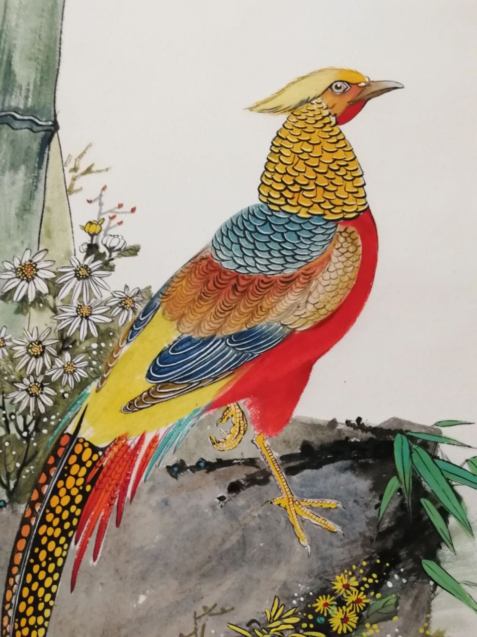 国画锦鸡 很久之前分享了《春》·孔雀牡丹,《夏》·侍女荷花,这次