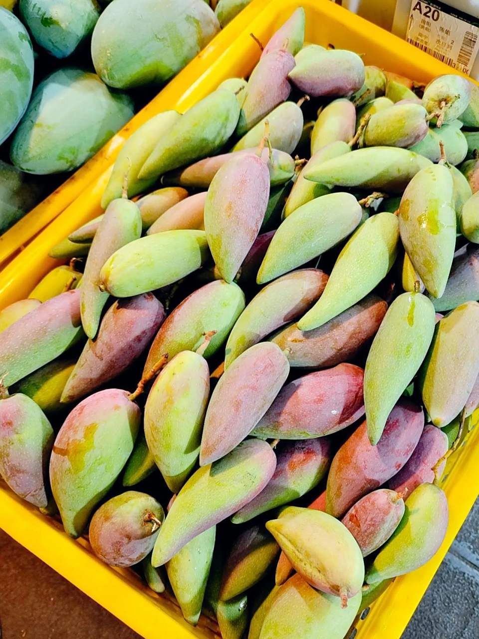 百色田阳的芒果10块钱6斤,比脸还大的芒果也38块钱10斤还包邮,四舍五