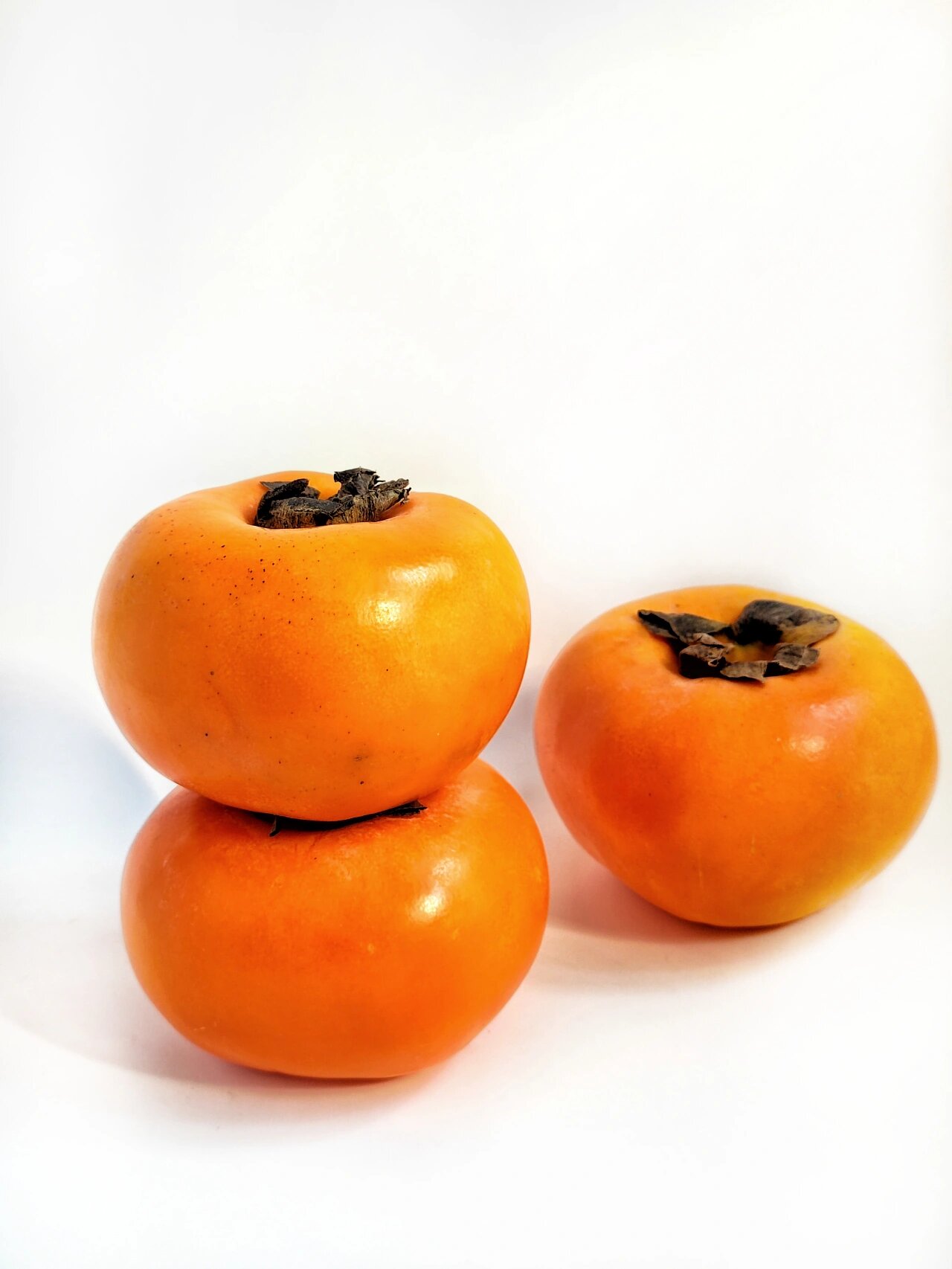 绘画素材白底柿子组图