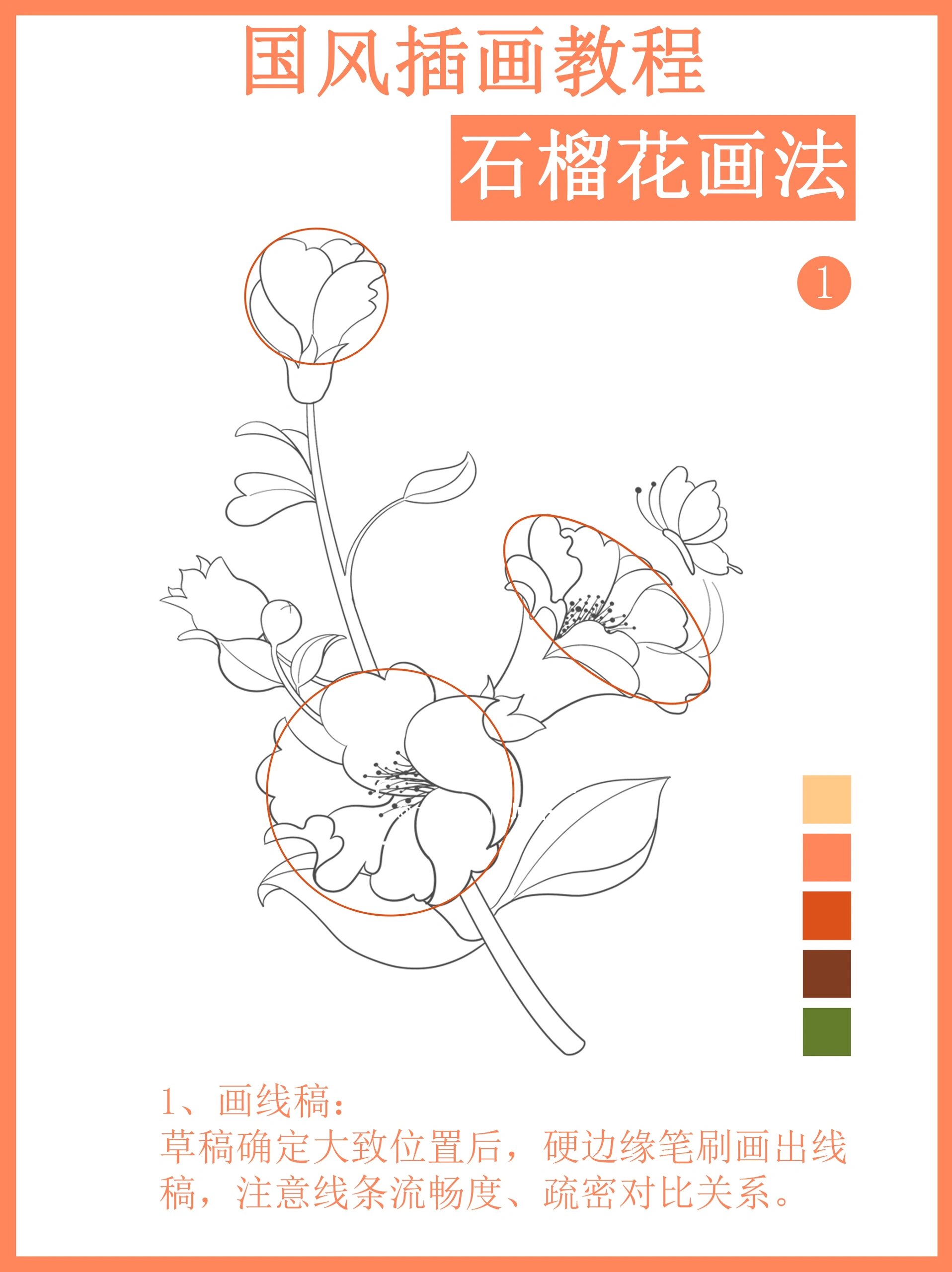 石榴花简笔画教程图片